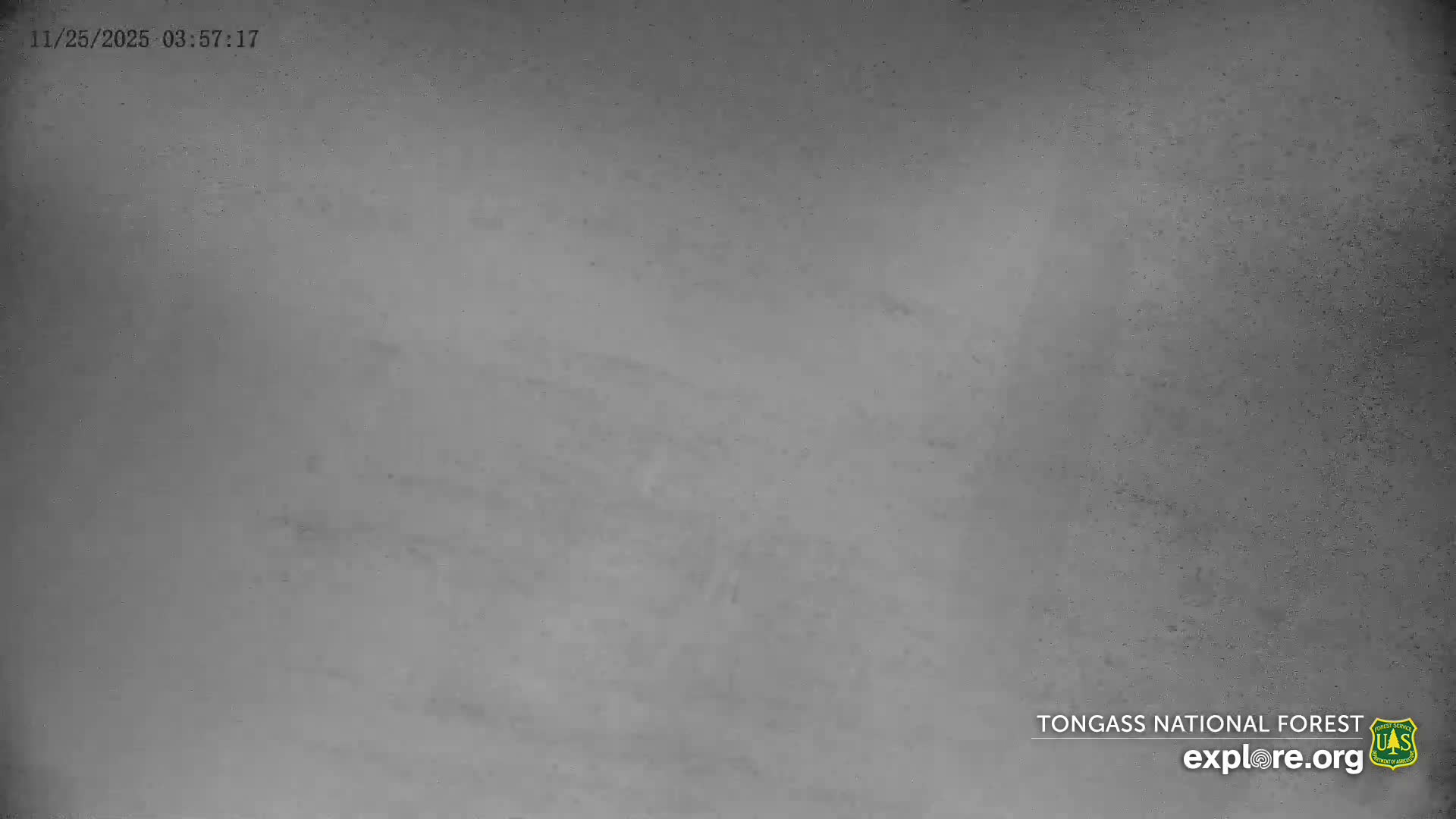 Mendenhall Glacier , Lake & Mountain Live Cam - Mendenhall Valley, Juneau, Alaska, USA