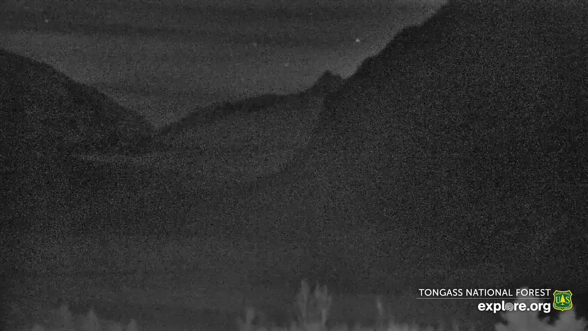 Mendenhall Glacier , Lake & Mountain Live Cam - Mendenhall Valley, Juneau, Alaska, USA