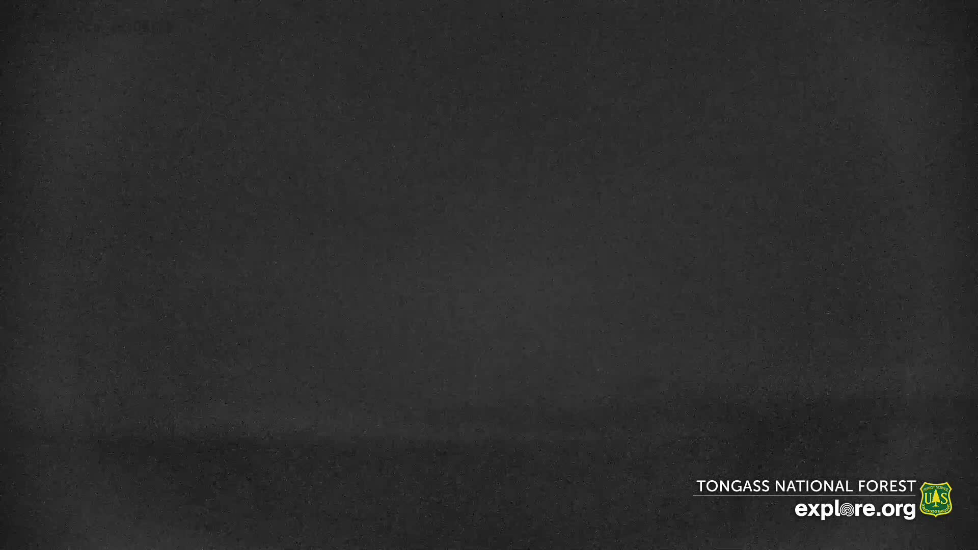 Mendenhall Glacier , Lake & Mountain Live Cam - Mendenhall Valley, Juneau, Alaska, USA