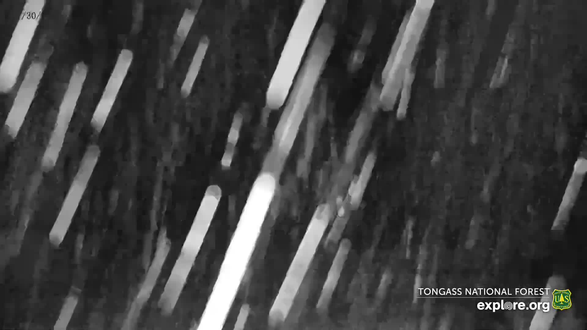 Mendenhall Glacier , Lake & Mountain Live Cam - Mendenhall Valley, Juneau, Alaska, USA