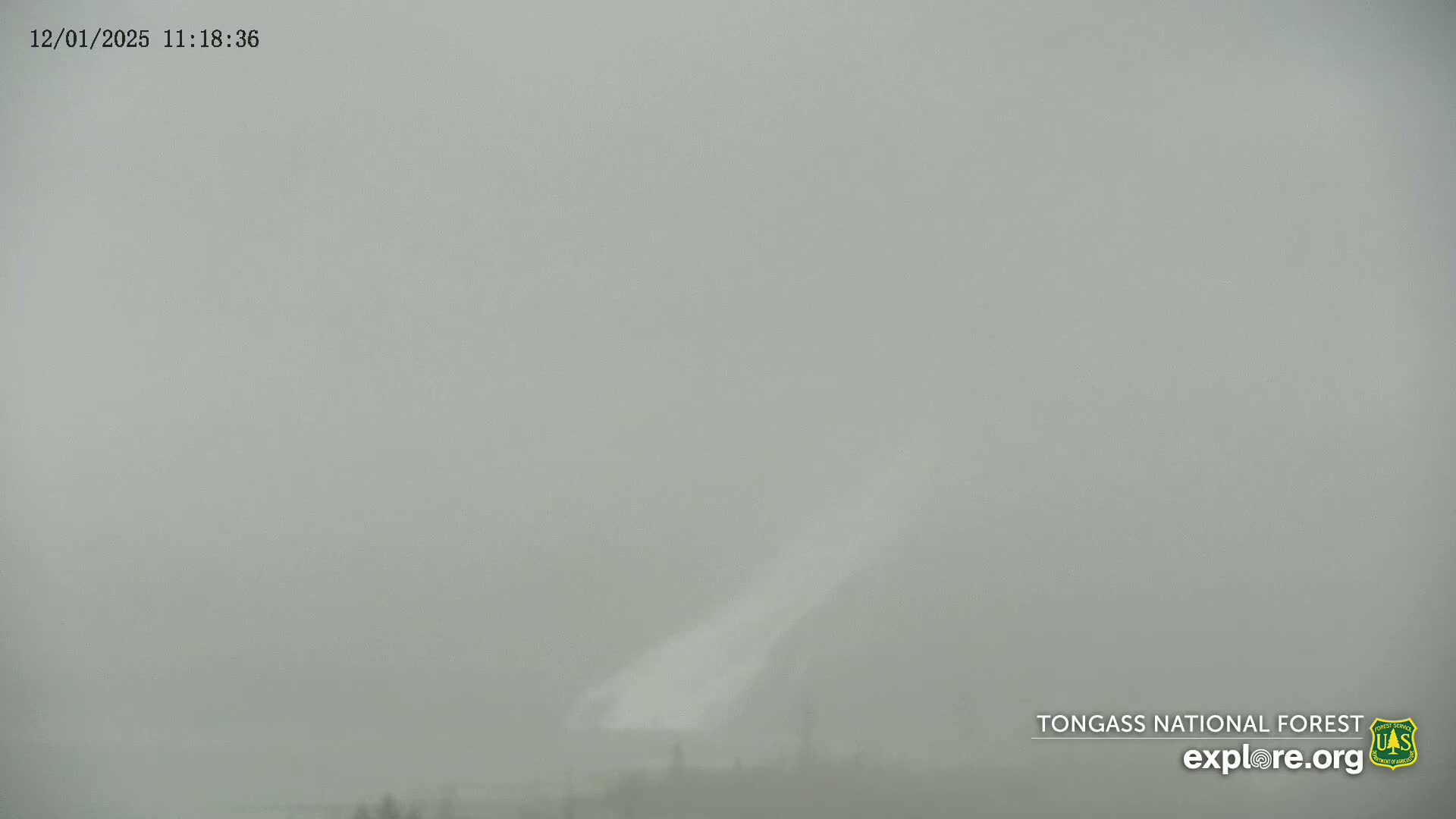 Mendenhall Glacier , Lake & Mountain Live Cam - Mendenhall Valley, Juneau, Alaska, USA