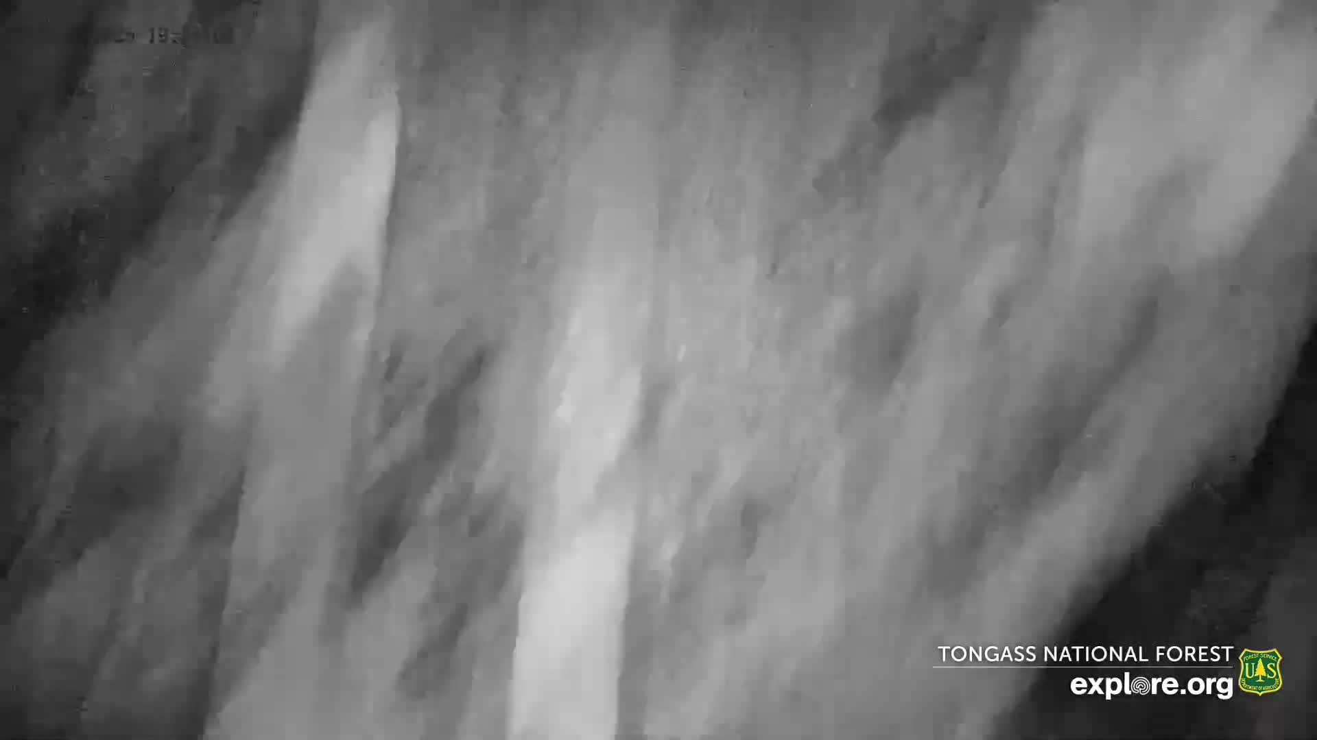 Mendenhall Glacier , Lake & Mountain Live Cam - Mendenhall Valley, Juneau, Alaska, USA