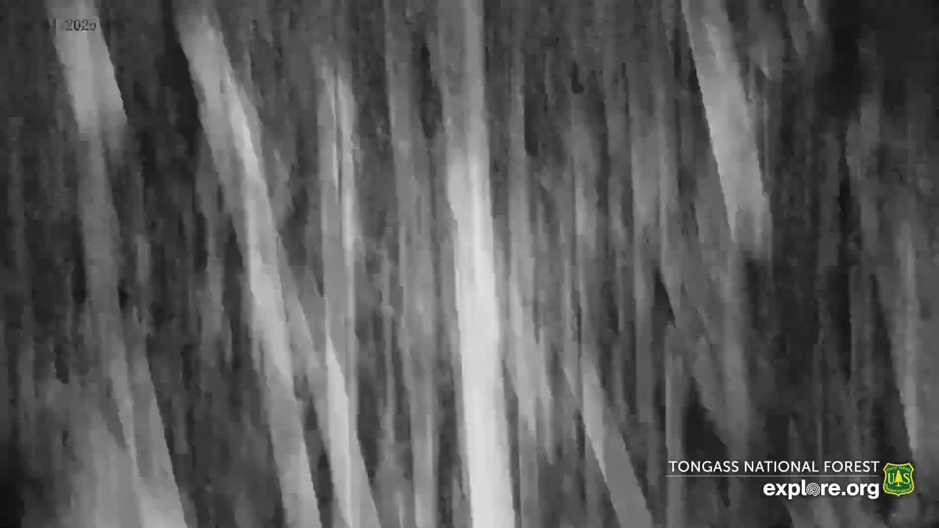 Mendenhall Glacier , Lake & Mountain Live Cam - Mendenhall Valley, Juneau, Alaska, USA