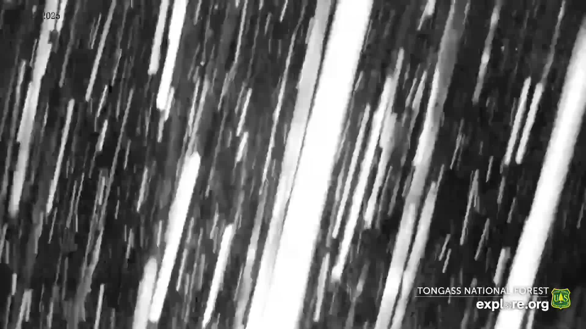 Mendenhall Glacier , Lake & Mountain Live Cam - Mendenhall Valley, Juneau, Alaska, USA