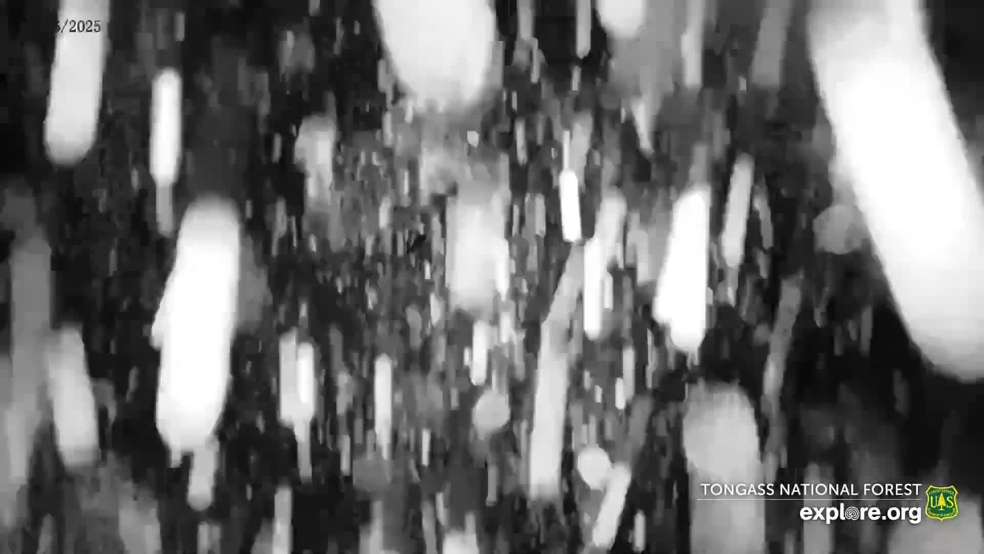 Mendenhall Glacier , Lake & Mountain Live Cam - Mendenhall Valley, Juneau, Alaska, USA