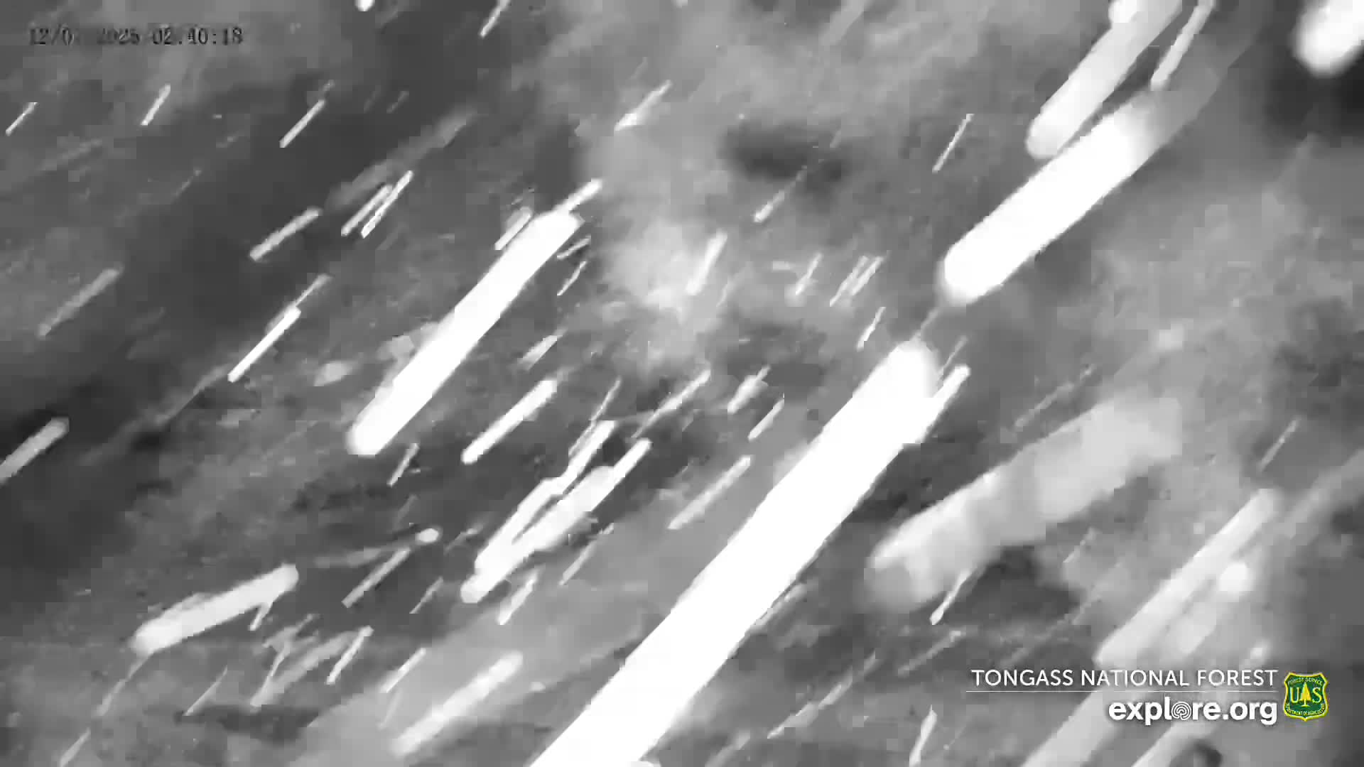 Mendenhall Glacier , Lake & Mountain Live Cam - Mendenhall Valley, Juneau, Alaska, USA