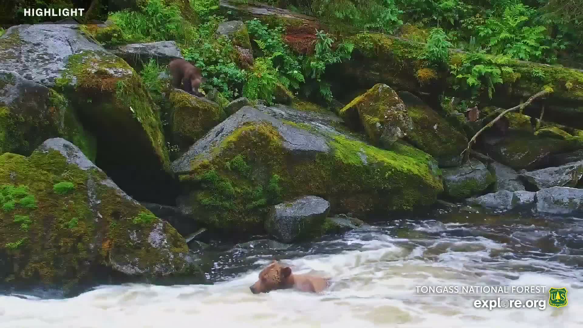 Mendenhall Glacier , Lake & Mountain Live Cam - Mendenhall Valley, Juneau, Alaska, USA