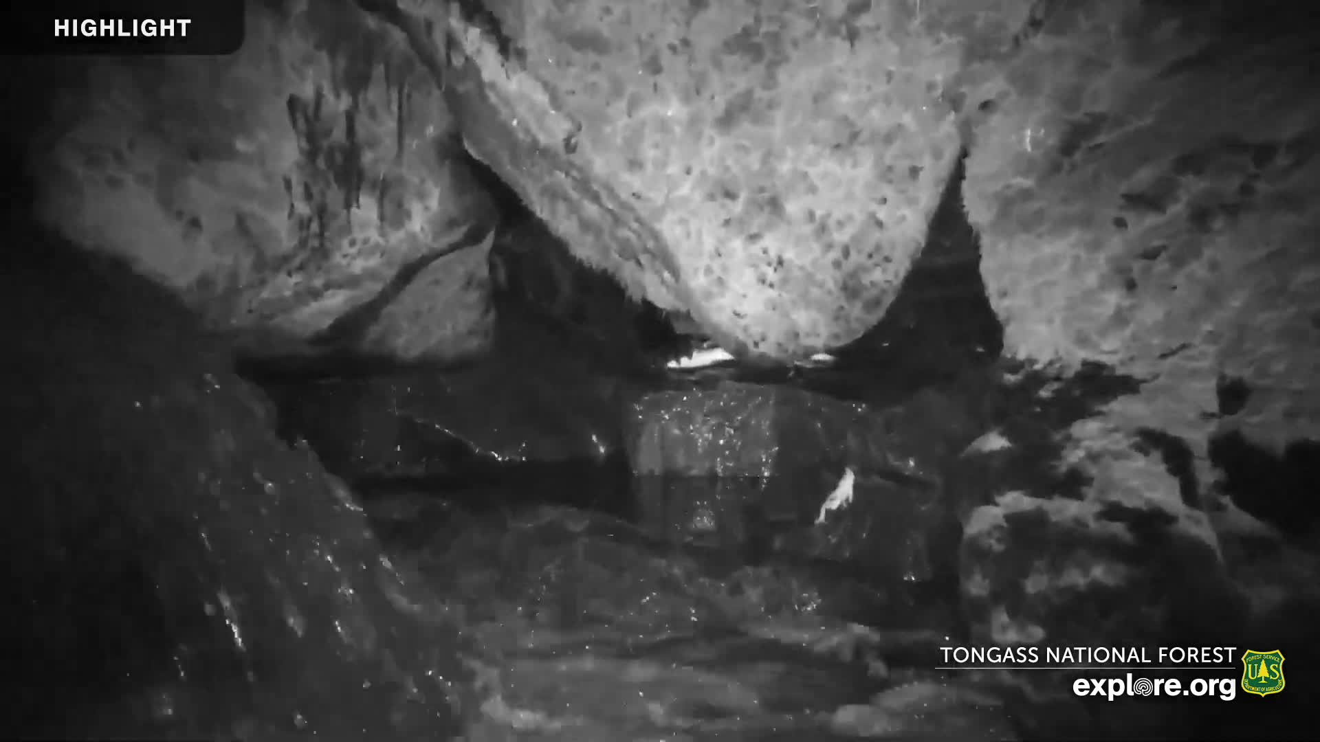 Mendenhall Glacier , Lake & Mountain Live Cam - Mendenhall Valley, Juneau, Alaska, USA