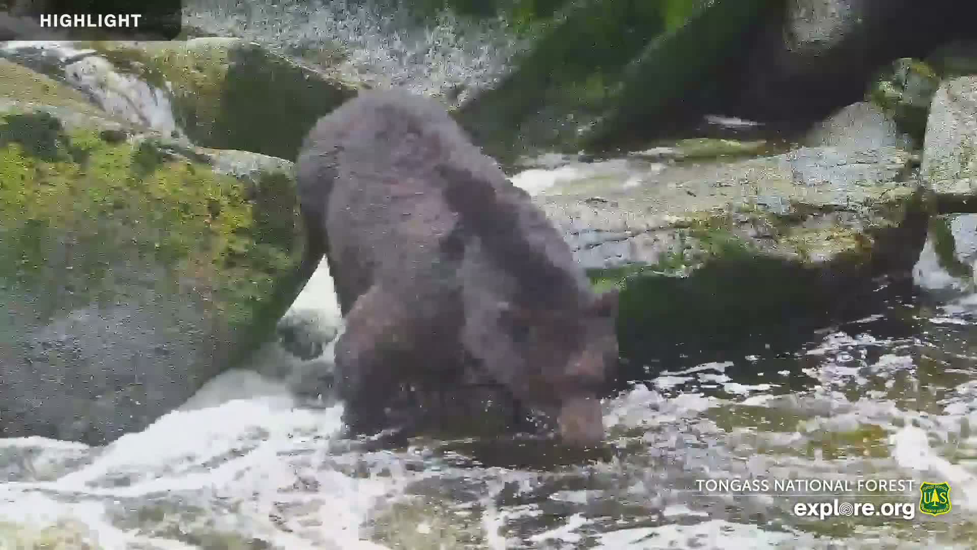 Mendenhall Glacier , Lake & Mountain Live Cam - Mendenhall Valley, Juneau, Alaska, USA