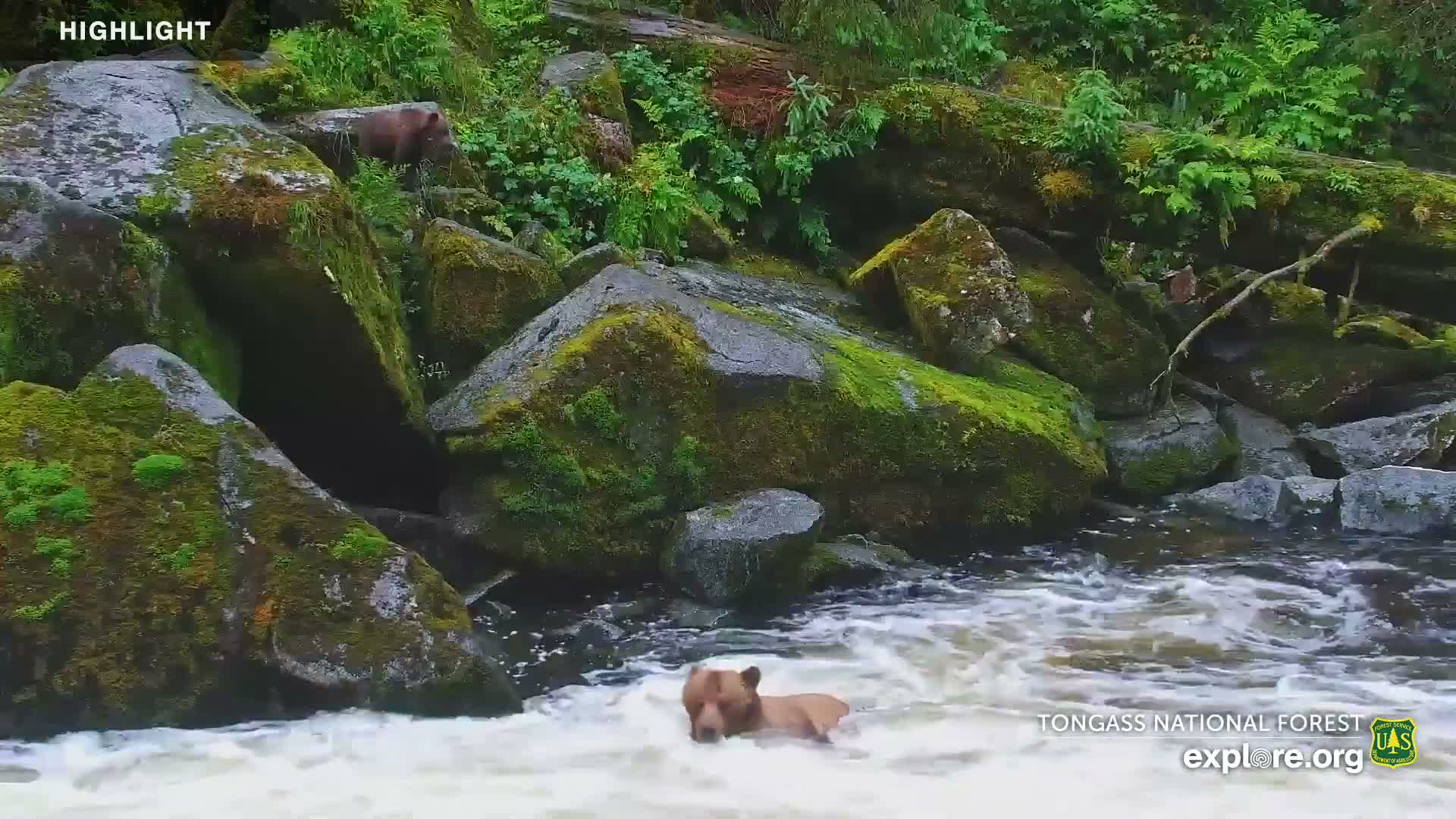 Mendenhall Glacier , Lake & Mountain Live Cam - Mendenhall Valley, Juneau, Alaska, USA