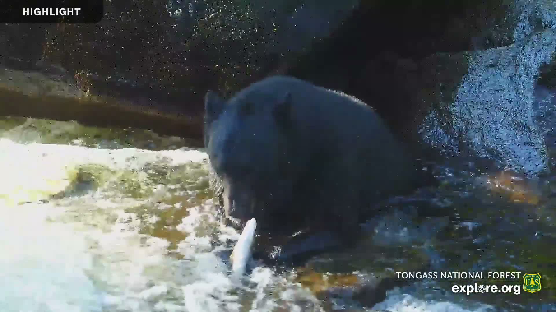 Mendenhall Glacier , Lake & Mountain Live Cam - Mendenhall Valley, Juneau, Alaska, USA