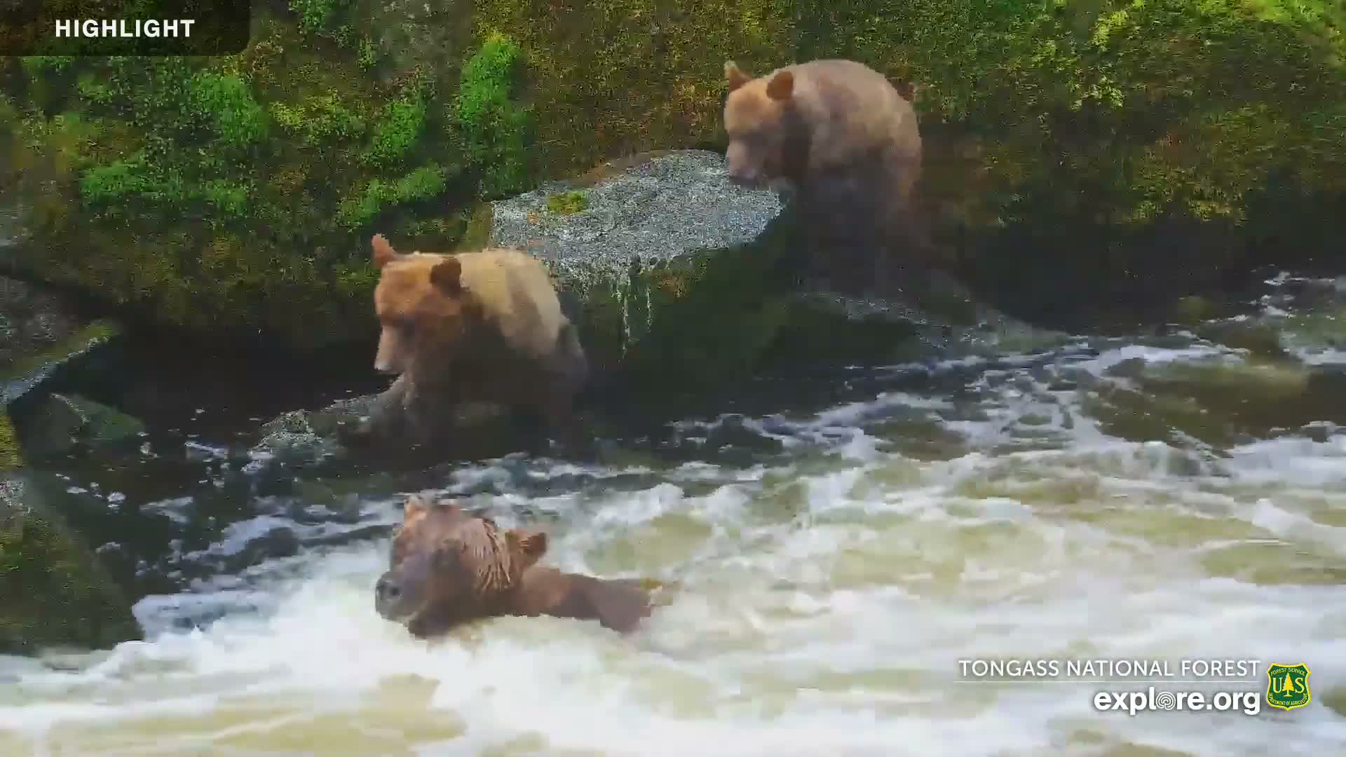 Mendenhall Glacier , Lake & Mountain Live Cam - Mendenhall Valley, Juneau, Alaska, USA