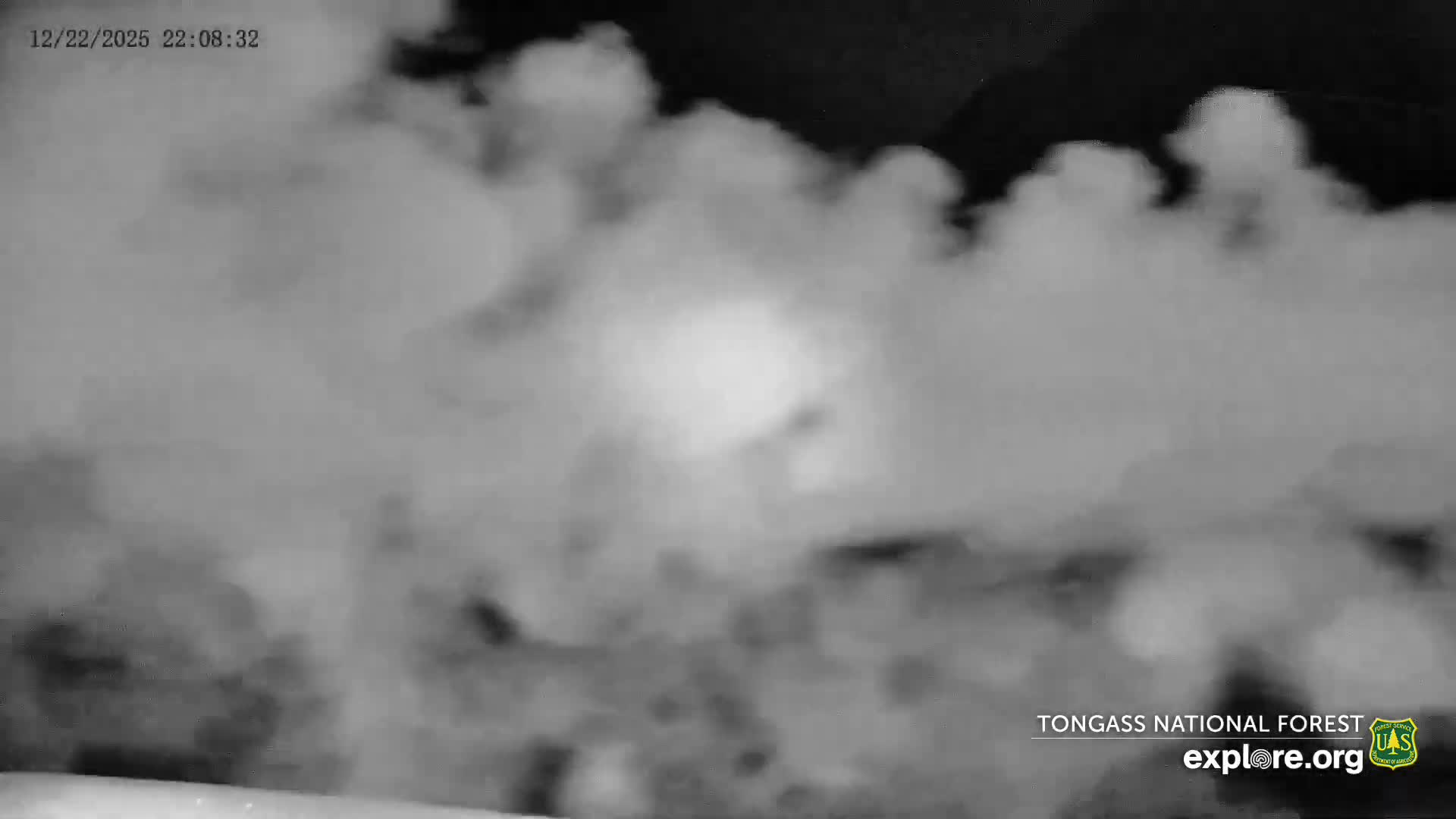 Mendenhall Glacier , Lake & Mountain Live Cam - Mendenhall Valley, Juneau, Alaska, USA