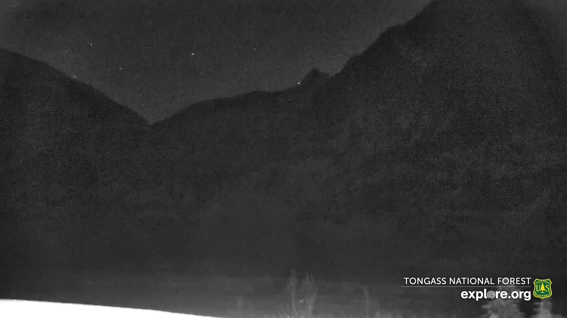 Mendenhall Glacier , Lake & Mountain Live Cam - Mendenhall Valley, Juneau, Alaska, USA