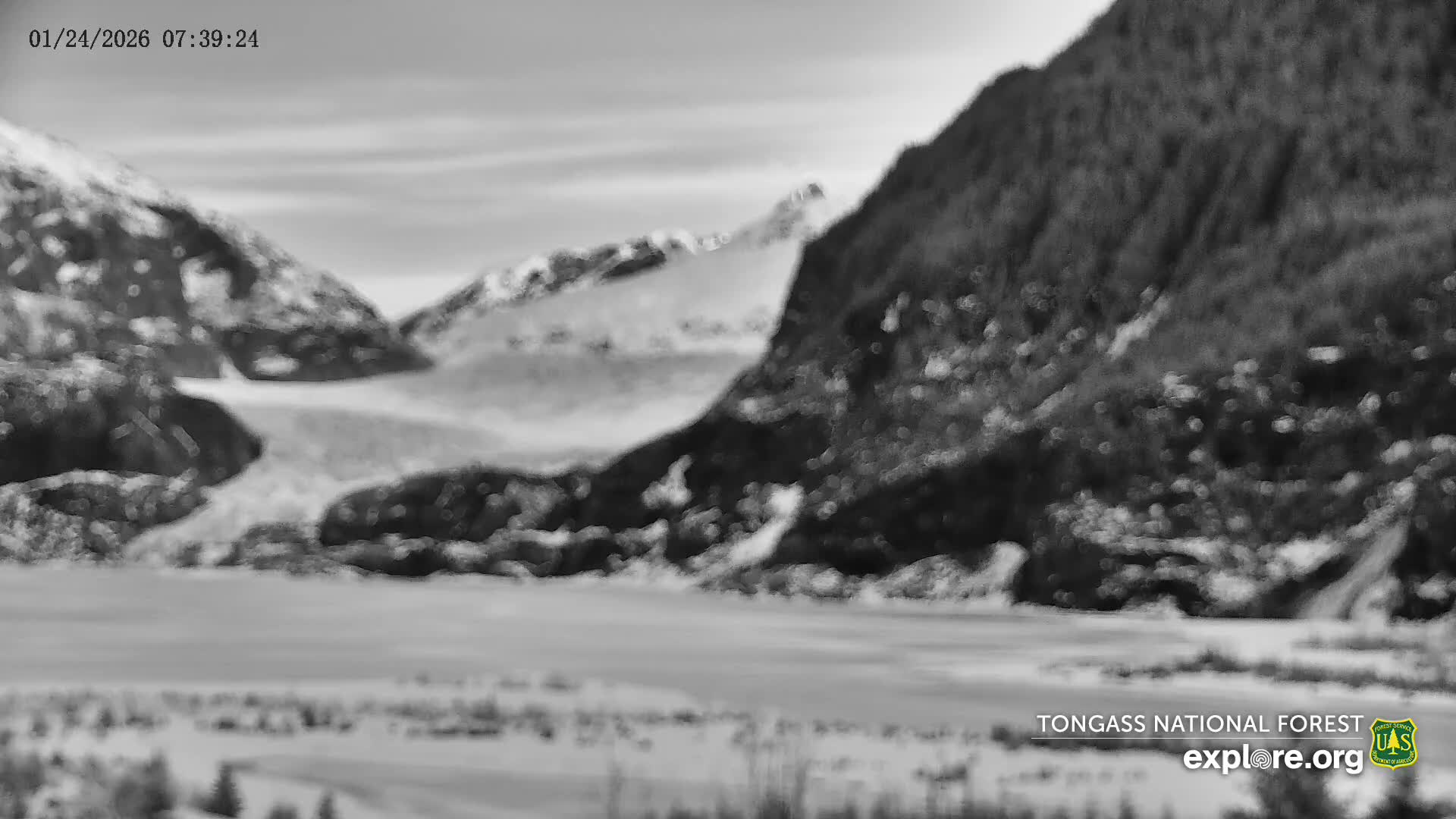 Mendenhall Glacier , Lake & Mountain Live Cam - Mendenhall Valley, Juneau, Alaska, USA