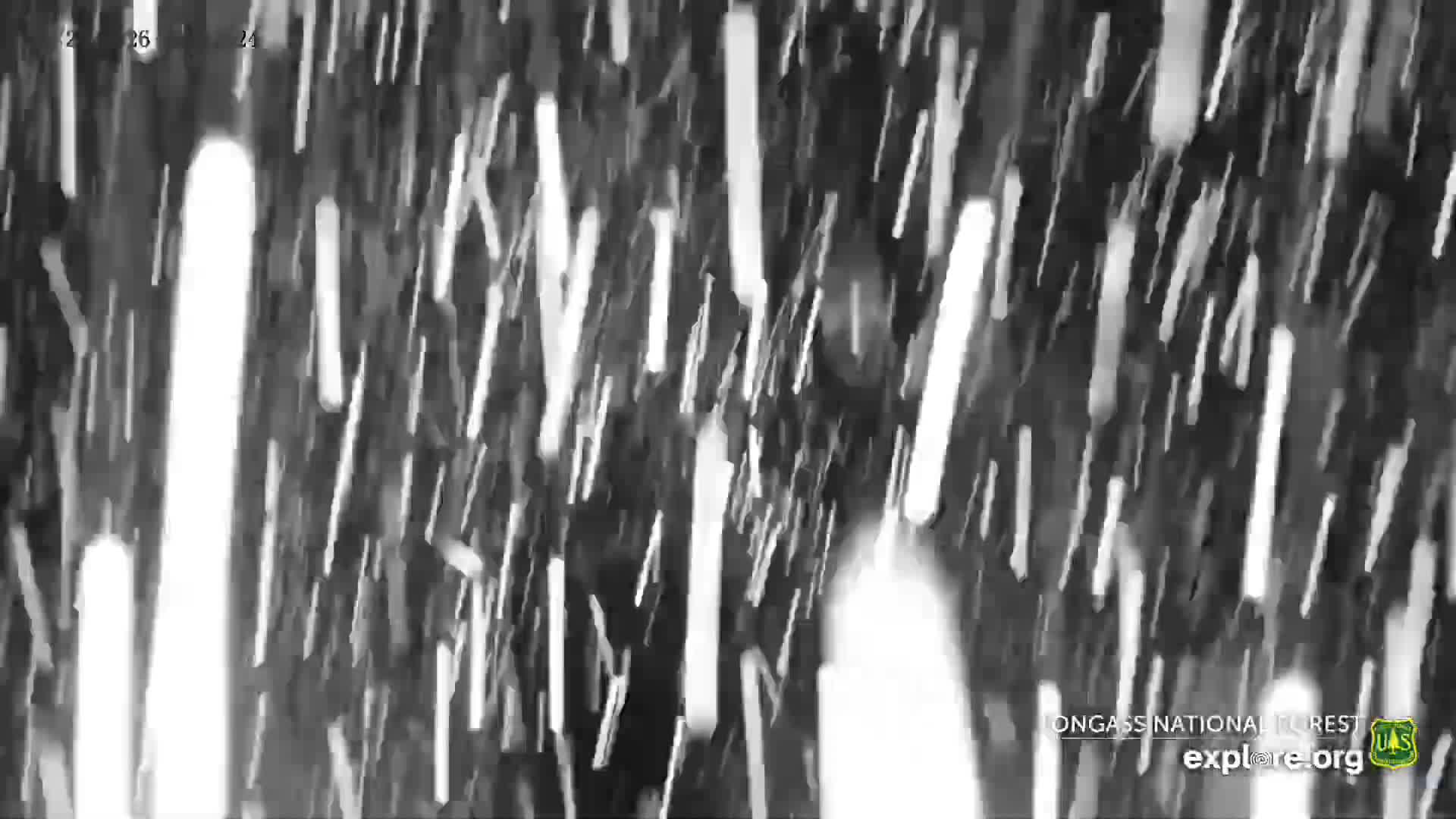 Mendenhall Glacier , Lake & Mountain Live Cam - Mendenhall Valley, Juneau, Alaska, USA