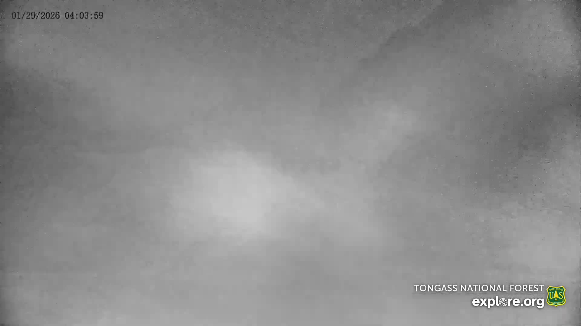 Mendenhall Glacier , Lake & Mountain Live Cam - Mendenhall Valley, Juneau, Alaska, USA