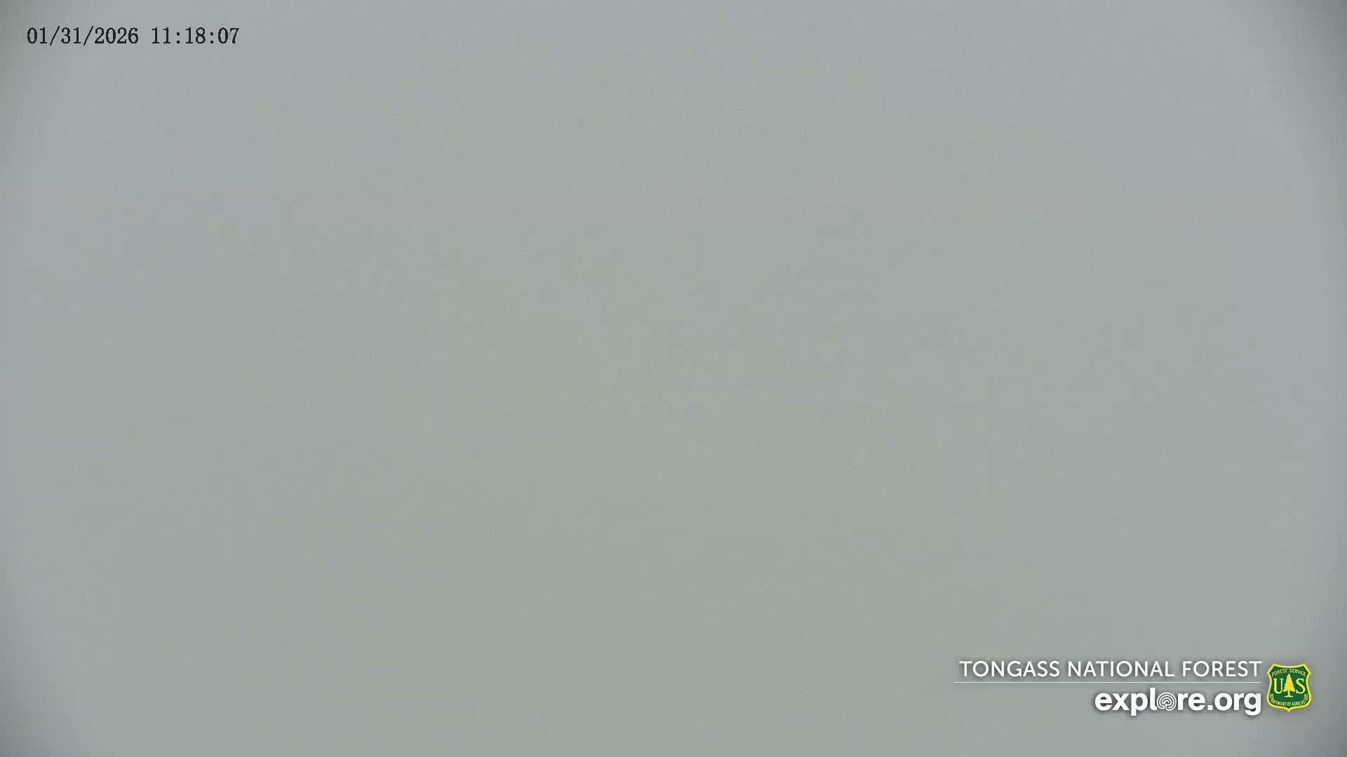 Mendenhall Glacier , Lake & Mountain Live Cam - Mendenhall Valley, Juneau, Alaska, USA
