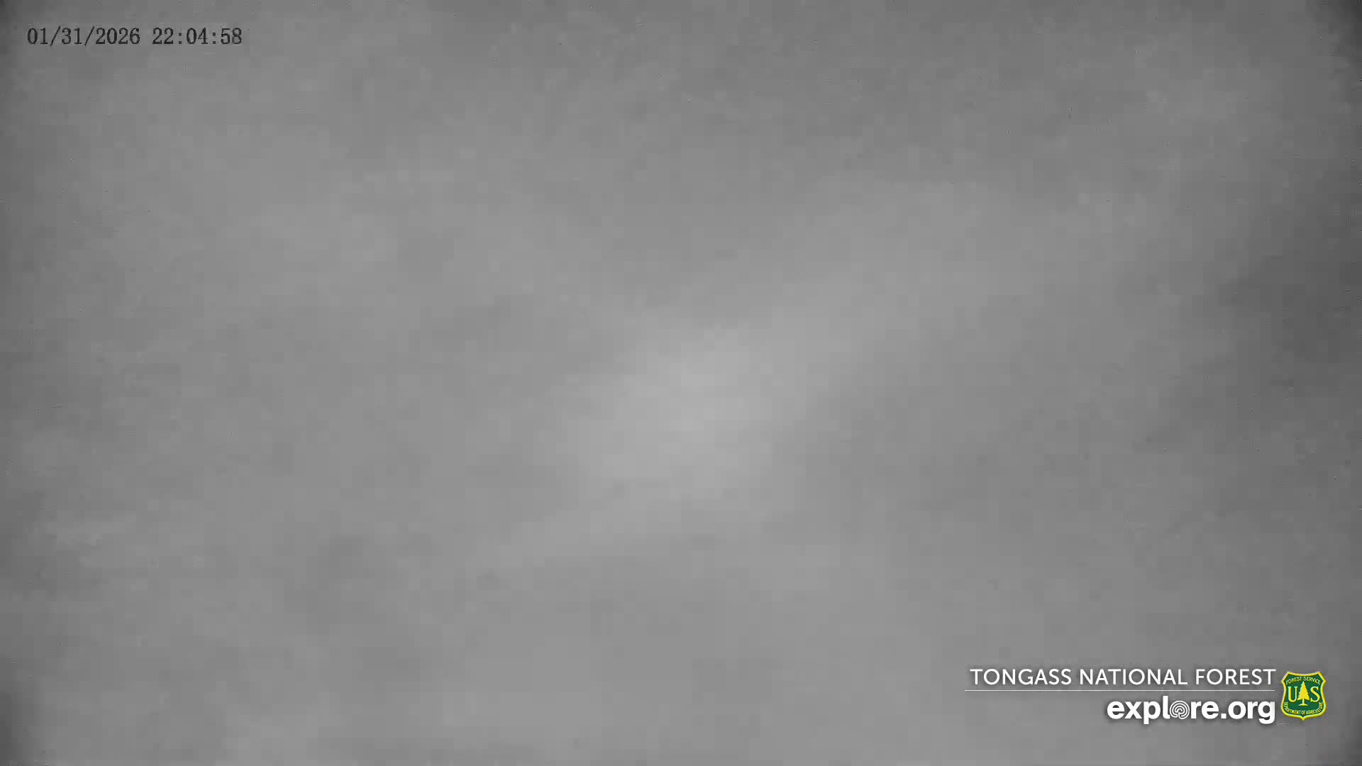 Mendenhall Glacier , Lake & Mountain Live Cam - Mendenhall Valley, Juneau, Alaska, USA