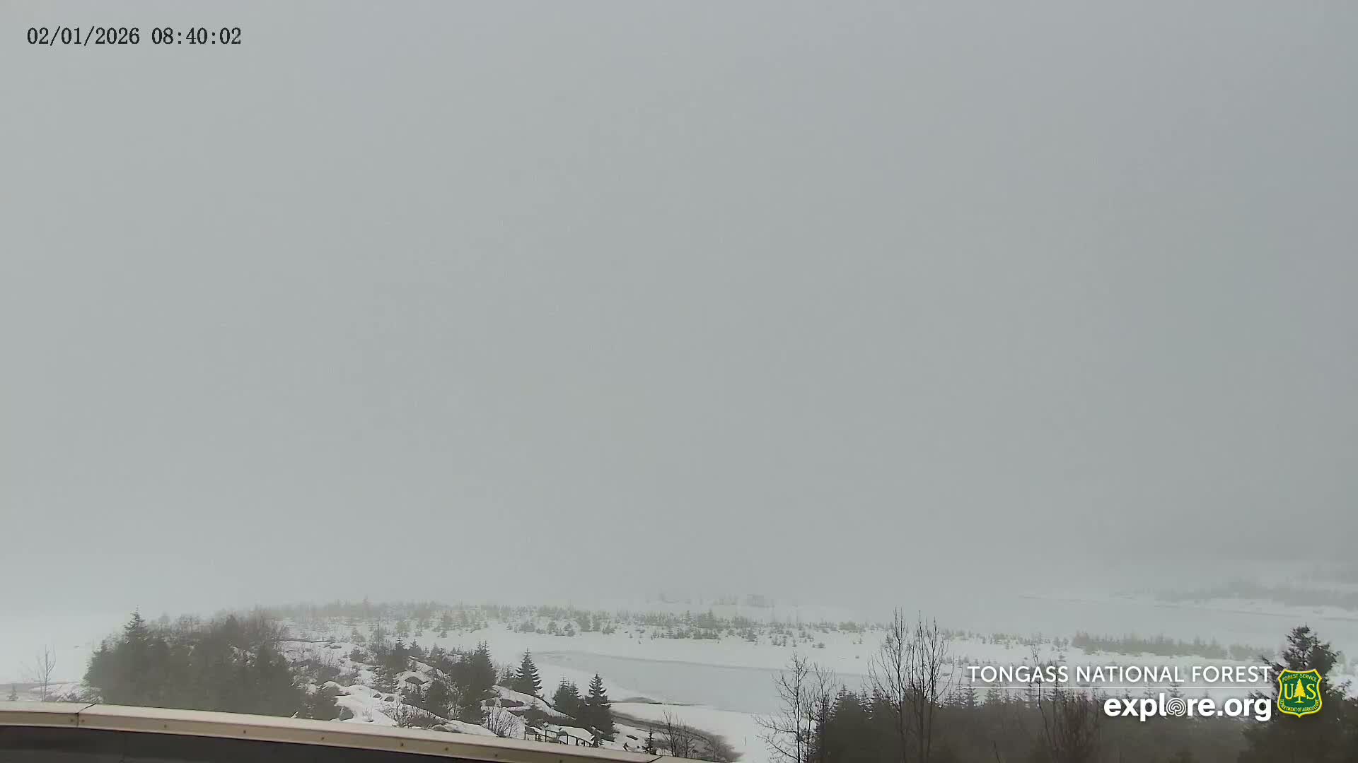 Mendenhall Glacier , Lake & Mountain Live Cam - Mendenhall Valley, Juneau, Alaska, USA