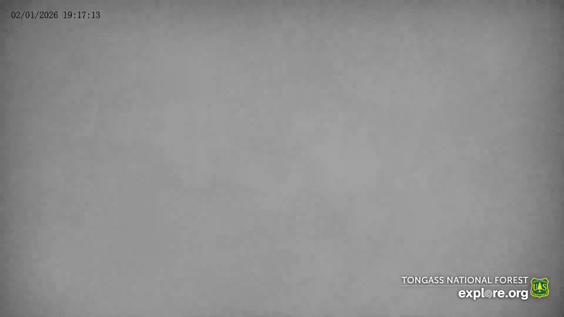 Mendenhall Glacier , Lake & Mountain Live Cam - Mendenhall Valley, Juneau, Alaska, USA