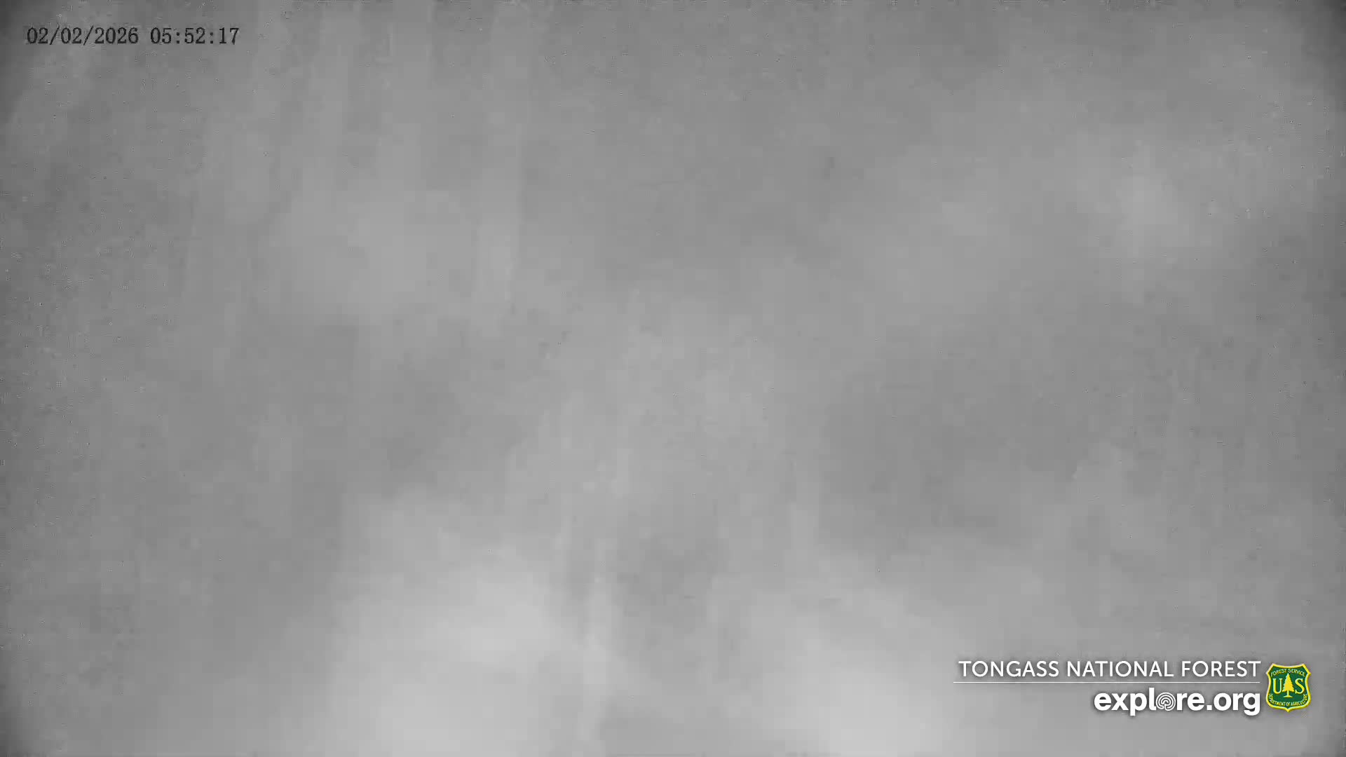 Mendenhall Glacier , Lake & Mountain Live Cam - Mendenhall Valley, Juneau, Alaska, USA