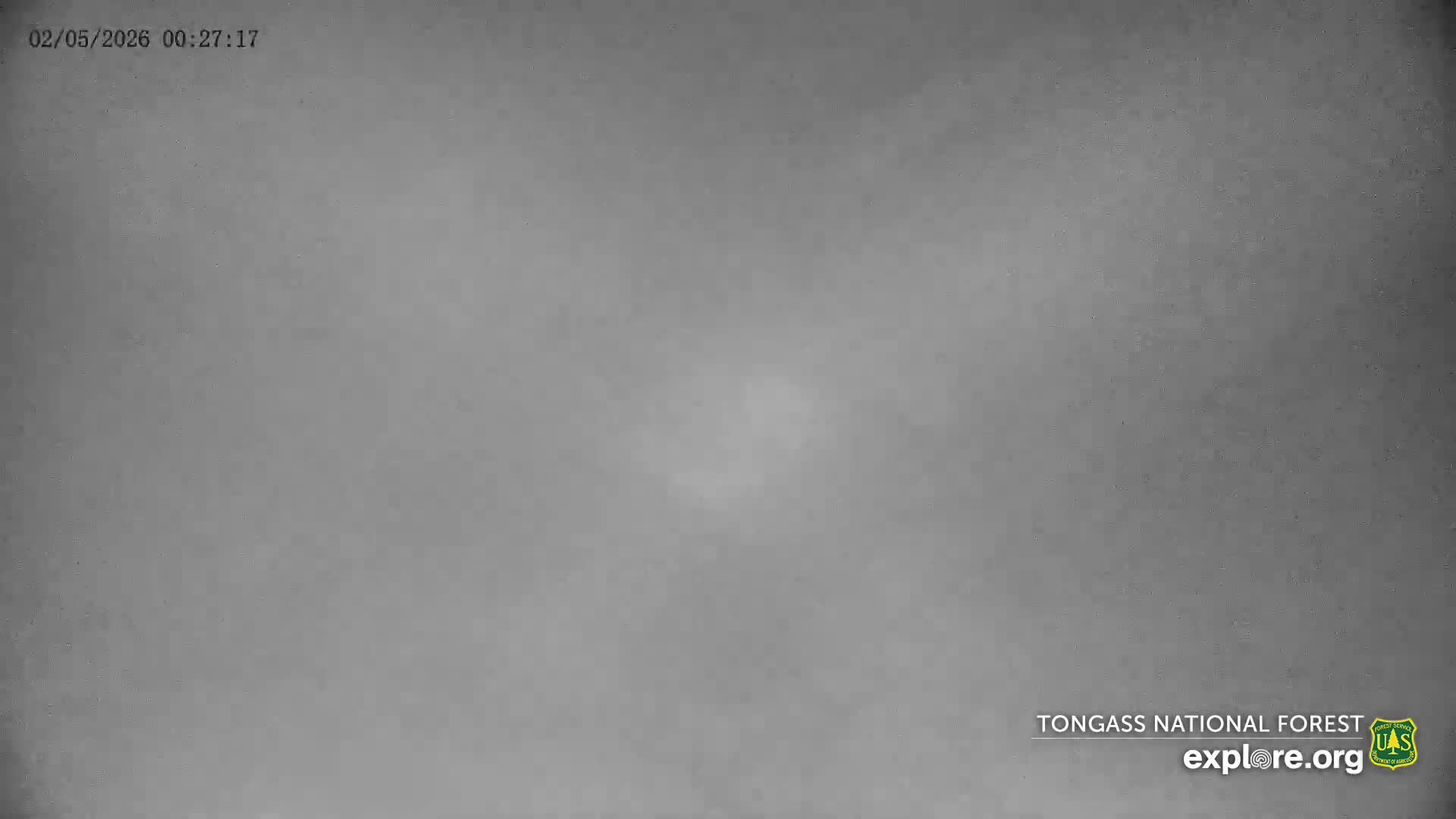 Mendenhall Glacier , Lake & Mountain Live Cam - Mendenhall Valley, Juneau, Alaska, USA
