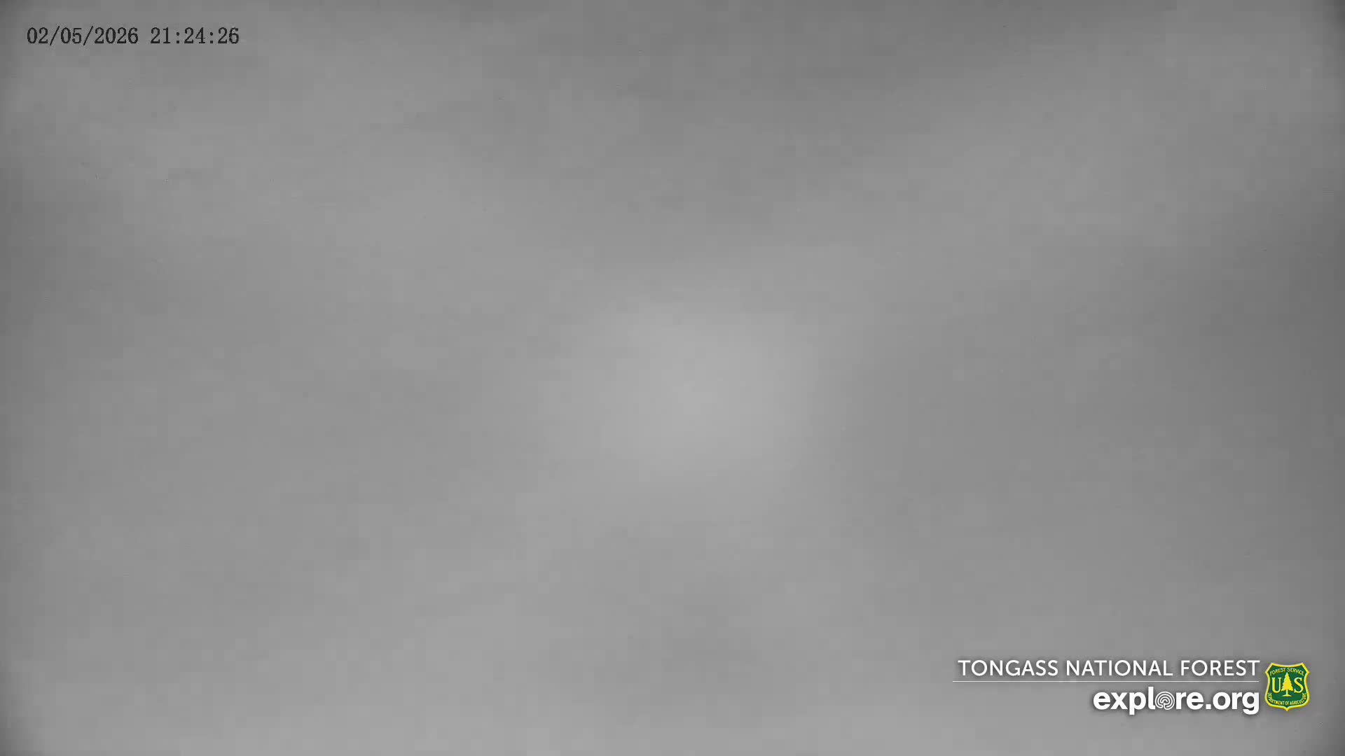 Mendenhall Glacier , Lake & Mountain Live Cam - Mendenhall Valley, Juneau, Alaska, USA