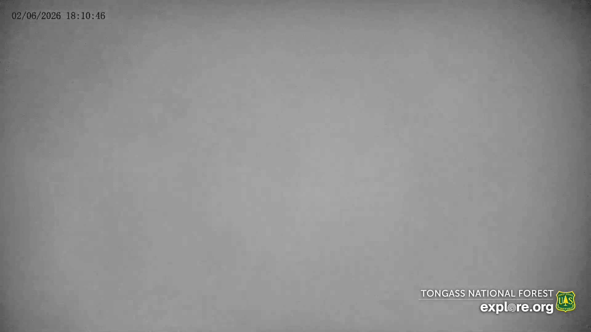 Mendenhall Glacier , Lake & Mountain Live Cam - Mendenhall Valley, Juneau, Alaska, USA
