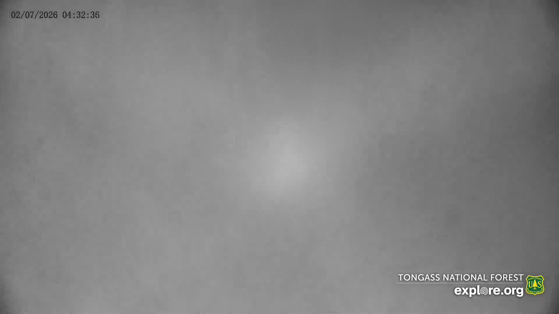 Mendenhall Glacier , Lake & Mountain Live Cam - Mendenhall Valley, Juneau, Alaska, USA