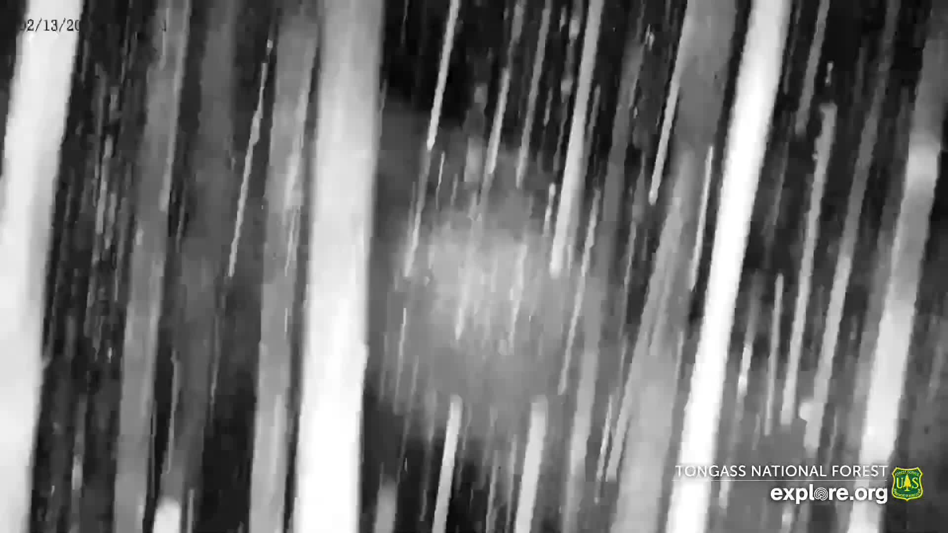 Mendenhall Glacier , Lake & Mountain Live Cam - Mendenhall Valley, Juneau, Alaska, USA