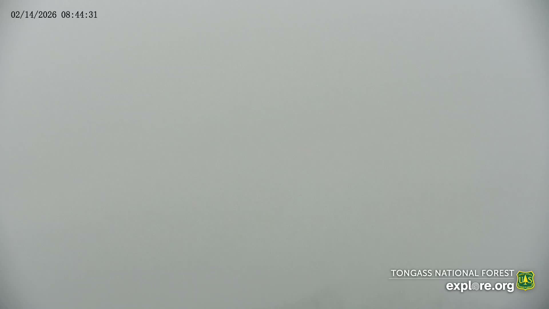Mendenhall Glacier , Lake & Mountain Live Cam - Mendenhall Valley, Juneau, Alaska, USA