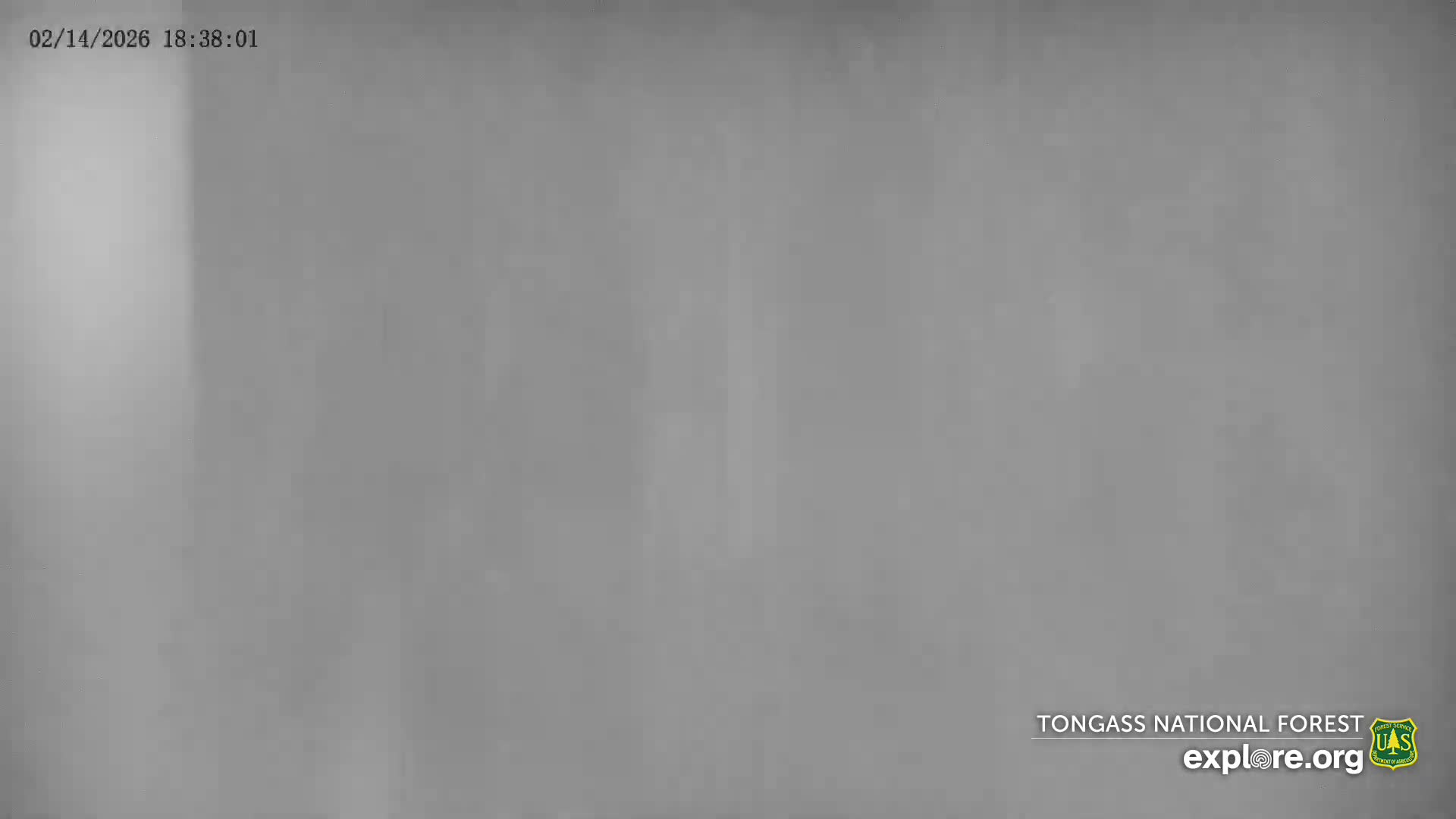 Mendenhall Glacier , Lake & Mountain Live Cam - Mendenhall Valley, Juneau, Alaska, USA