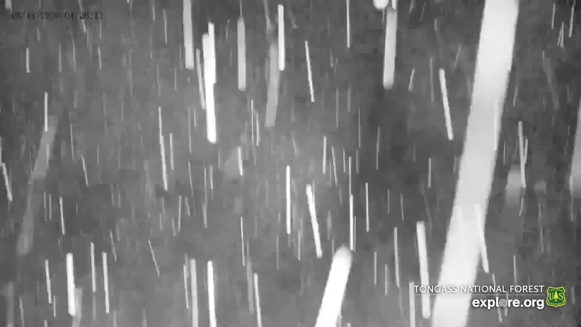Mendenhall Glacier , Lake & Mountain Live Cam - Mendenhall Valley, Juneau, Alaska, USA