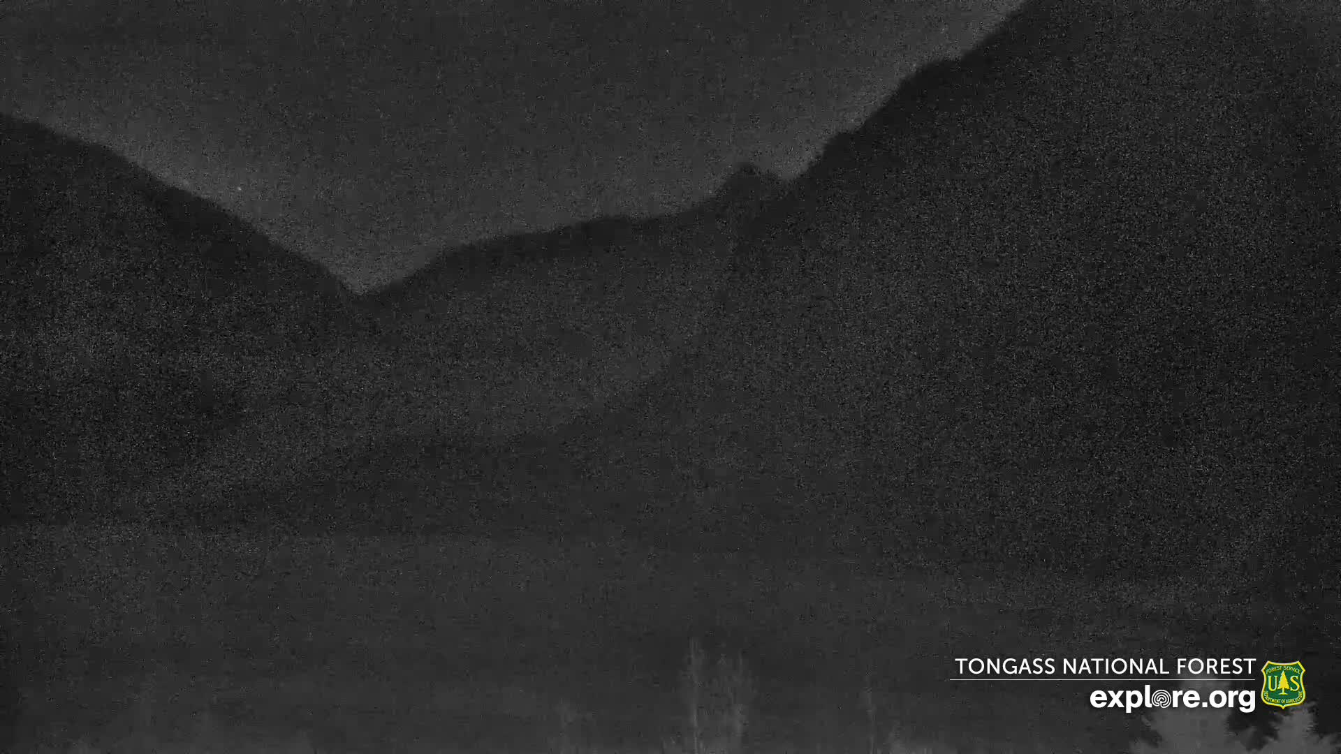 Mendenhall Glacier , Lake & Mountain Live Cam - Mendenhall Valley, Juneau, Alaska, USA