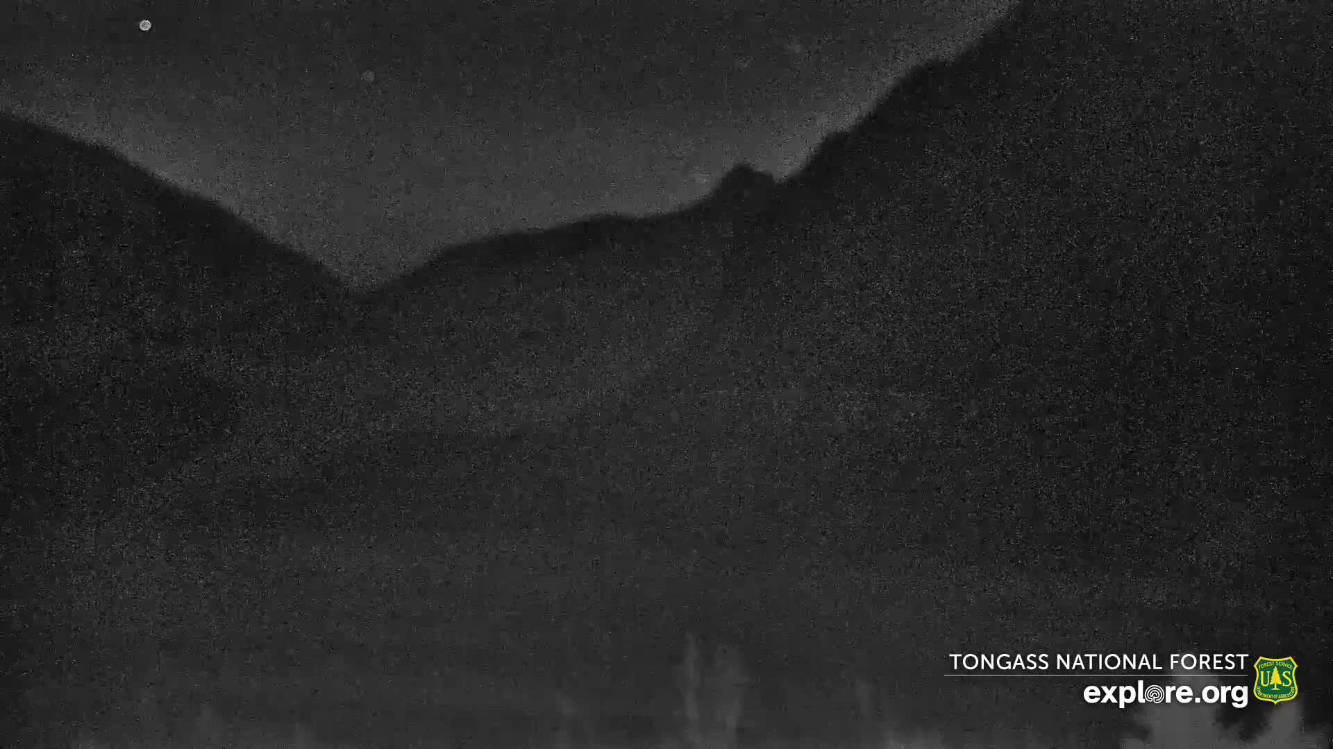Mendenhall Glacier , Lake & Mountain Live Cam - Mendenhall Valley, Juneau, Alaska, USA