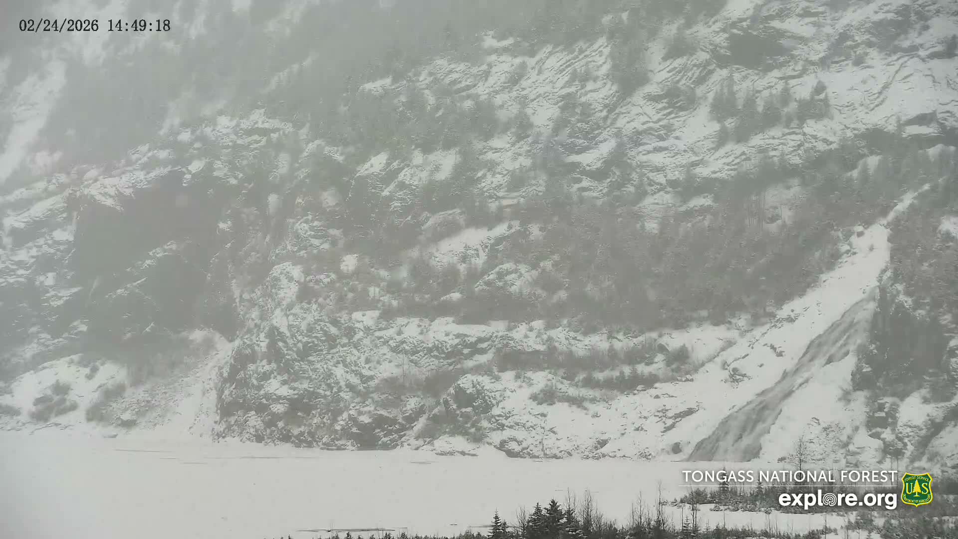 Mendenhall Glacier , Lake & Mountain Live Cam - Mendenhall Valley, Juneau, Alaska, USA