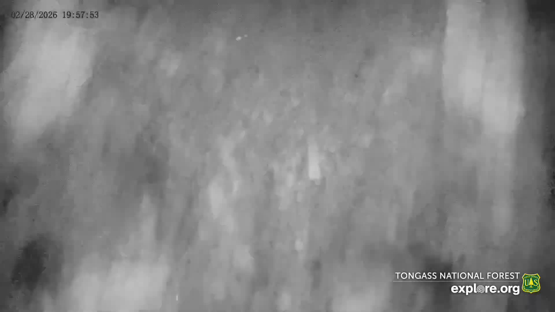Mendenhall Glacier , Lake & Mountain Live Cam - Mendenhall Valley, Juneau, Alaska, USA