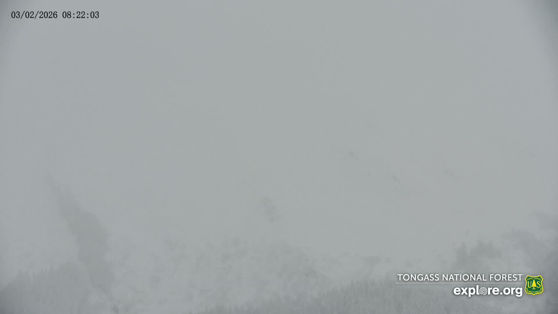 Mendenhall Glacier , Lake & Mountain Live Cam - Mendenhall Valley, Juneau, Alaska, USA