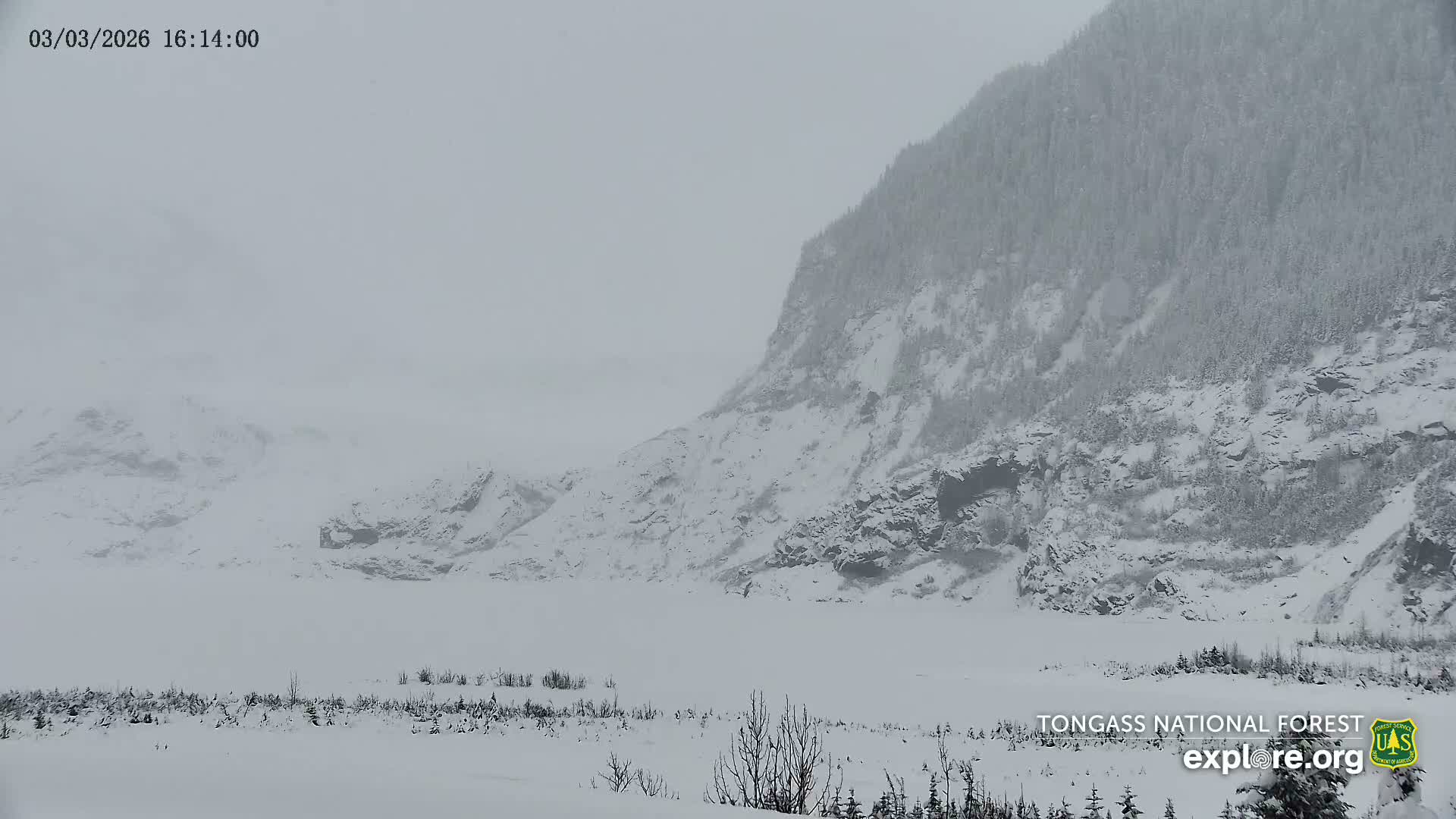Mendenhall Glacier , Lake & Mountain Live Cam - Mendenhall Valley, Juneau, Alaska, USA
