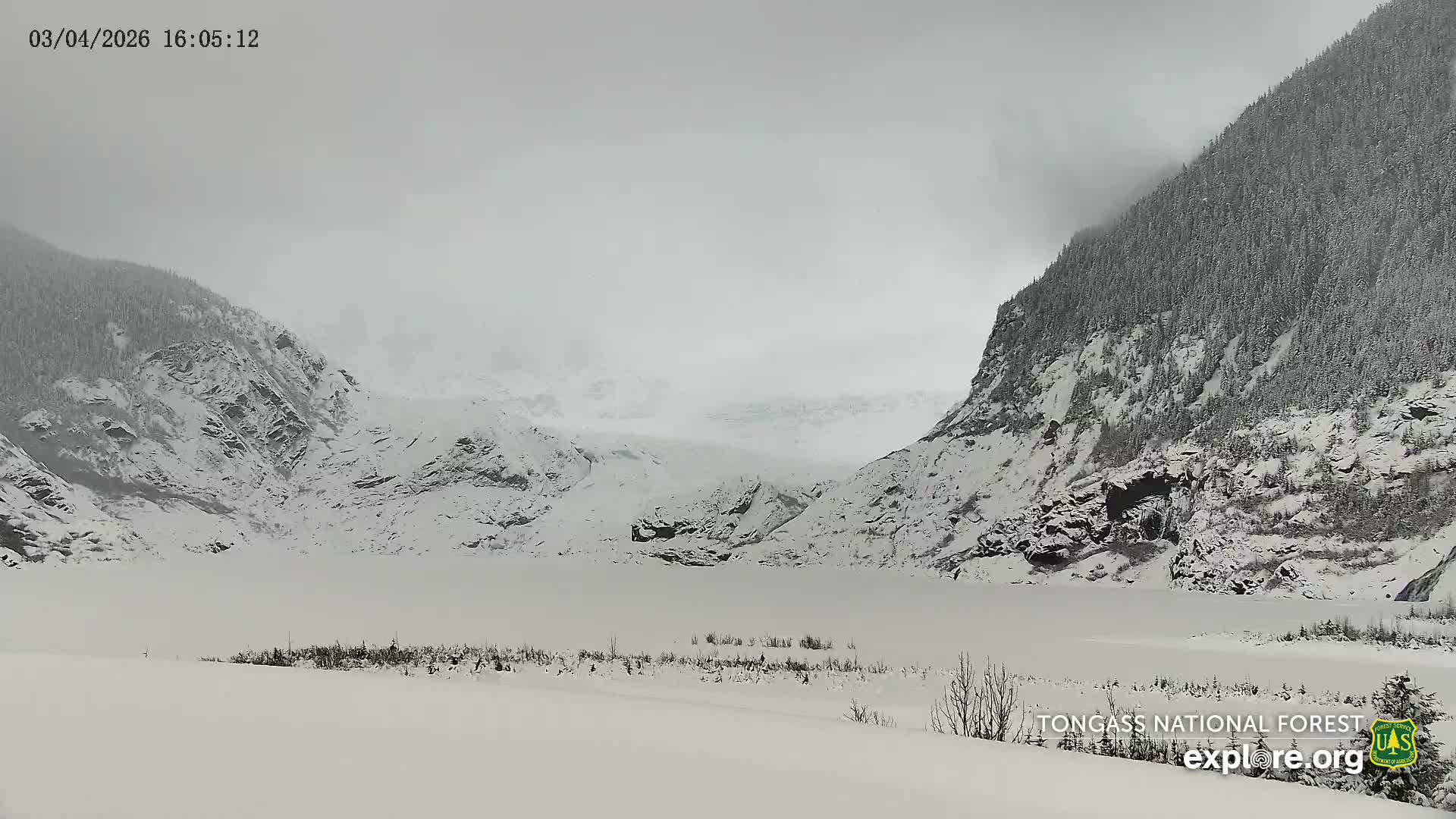 Mendenhall Glacier , Lake & Mountain Live Cam - Mendenhall Valley, Juneau, Alaska, USA
