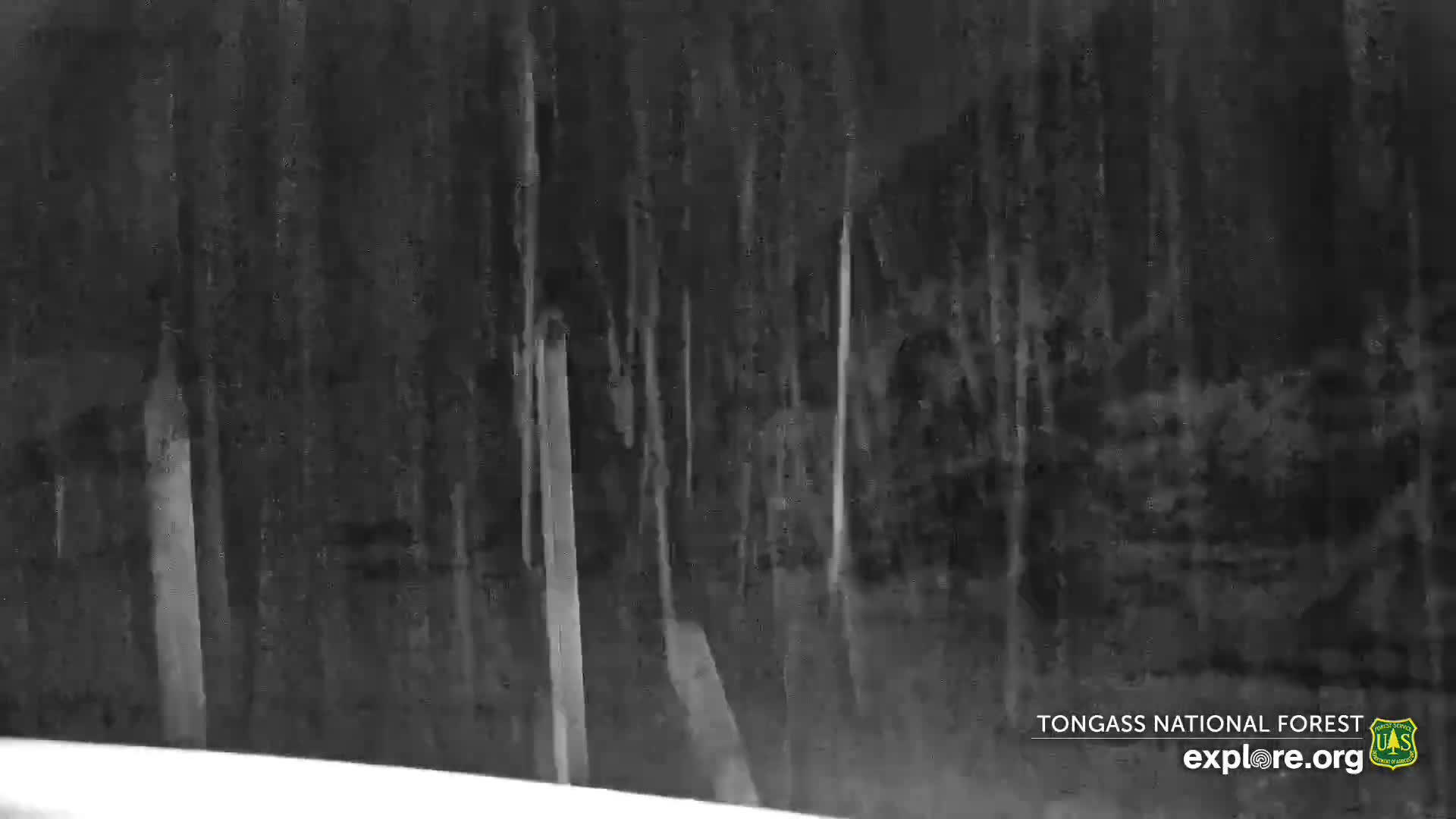 Mendenhall Glacier , Lake & Mountain Live Cam - Mendenhall Valley, Juneau, Alaska, USA