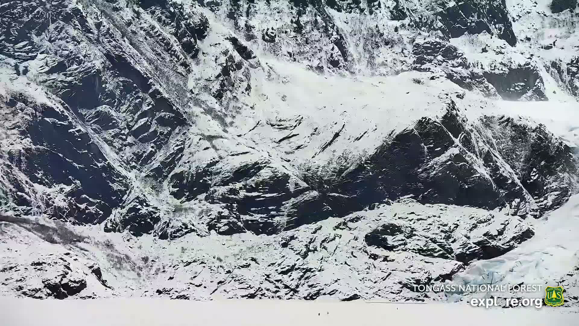 Mendenhall Glacier , Lake & Mountain Live Cam - Mendenhall Valley, Juneau, Alaska, USA