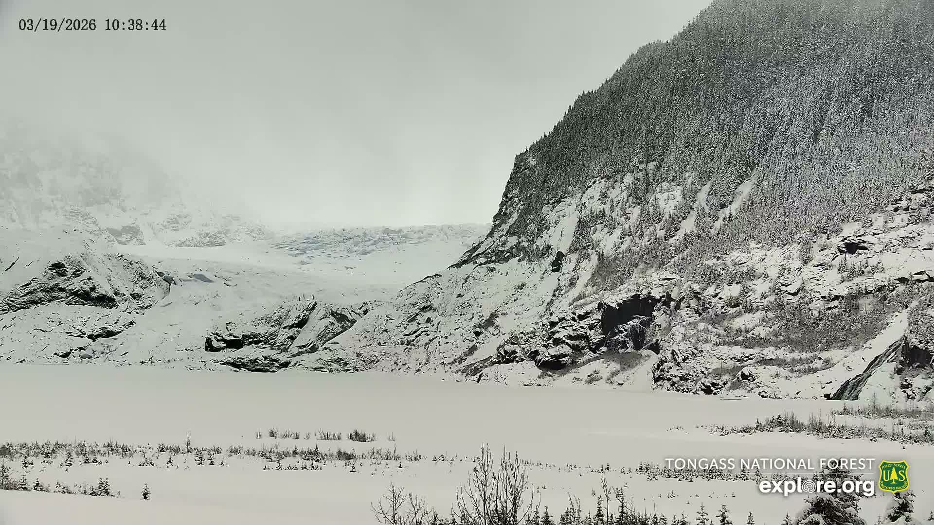 Mendenhall Glacier , Lake & Mountain Live Cam - Mendenhall Valley, Juneau, Alaska, USA