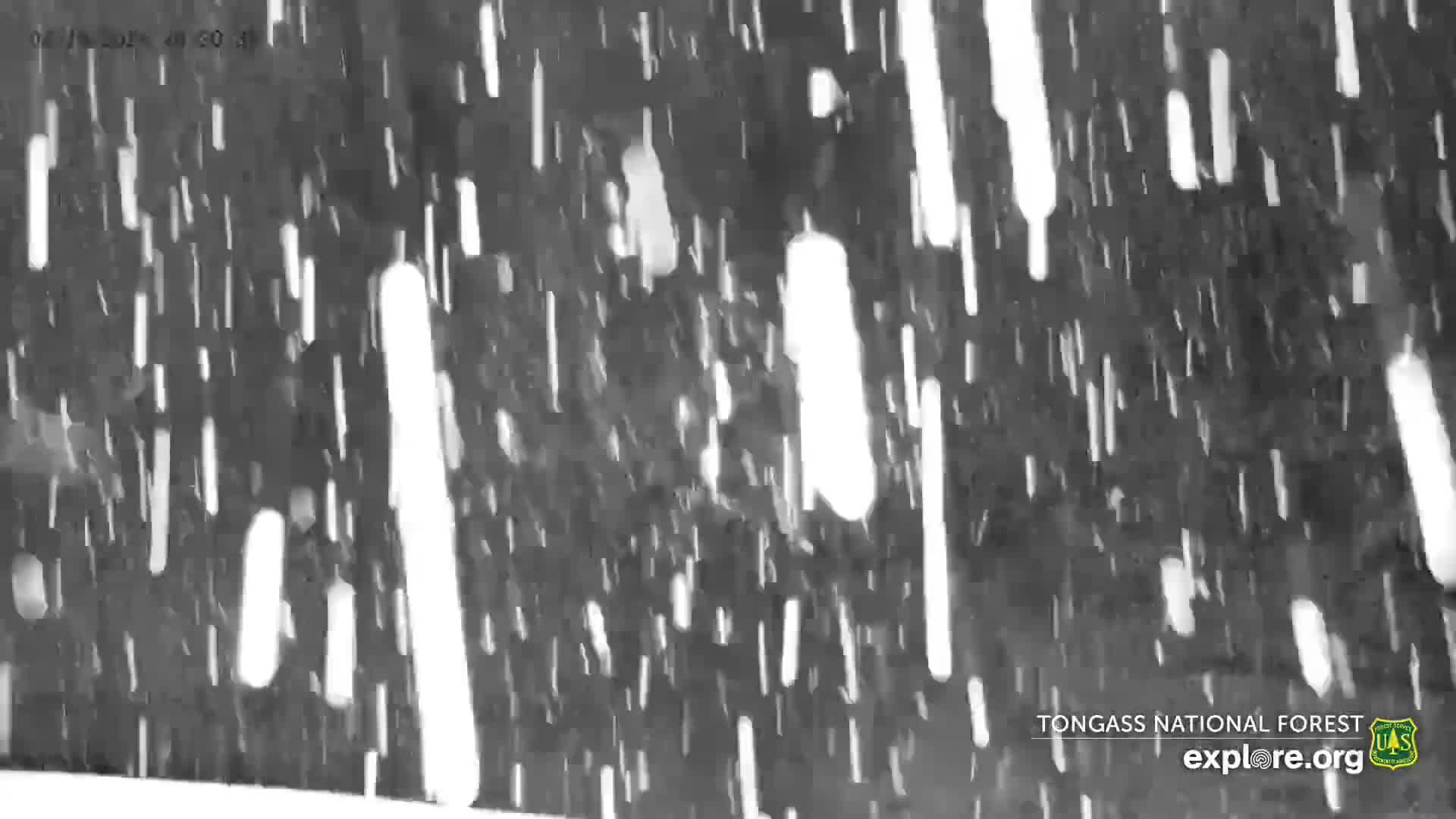 Mendenhall Glacier , Lake & Mountain Live Cam - Mendenhall Valley, Juneau, Alaska, USA