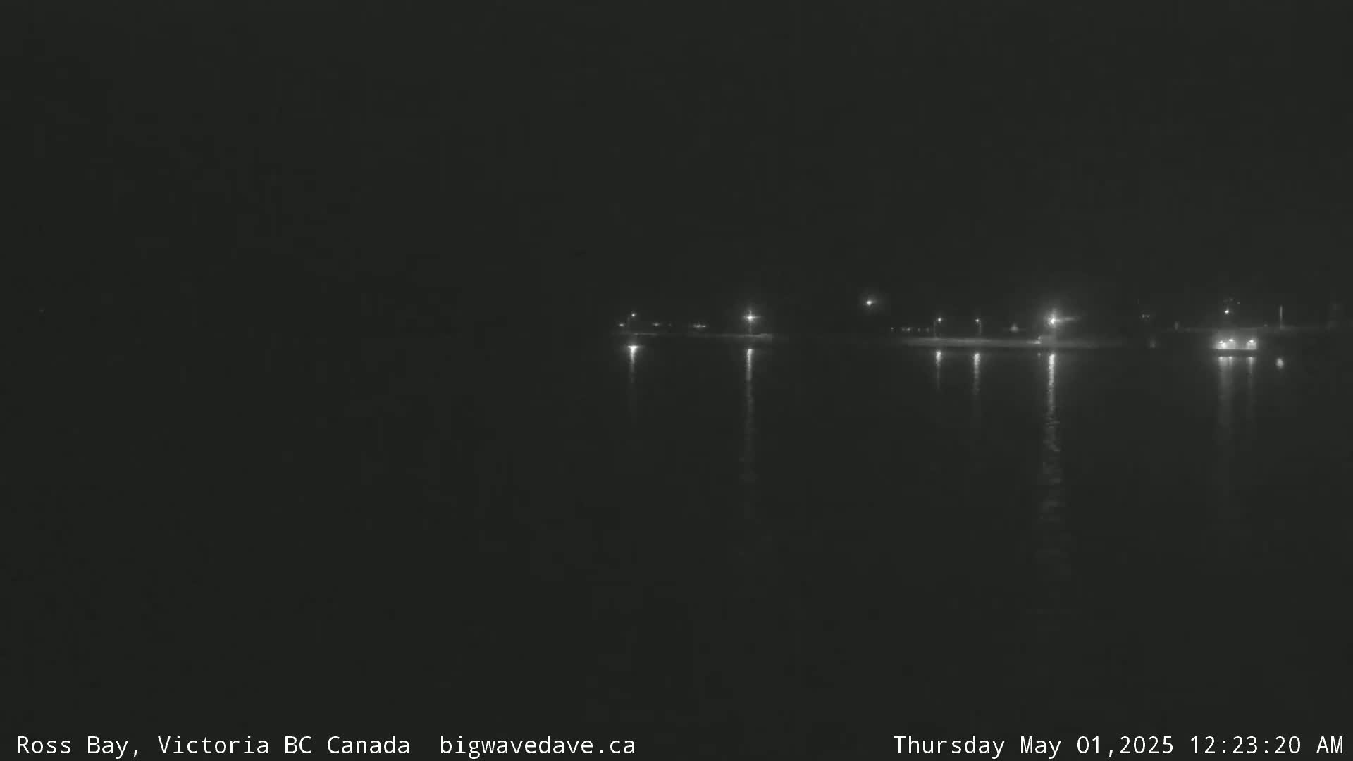 A dark, nighttime view of a calm body of water reflecting a few distant lights.