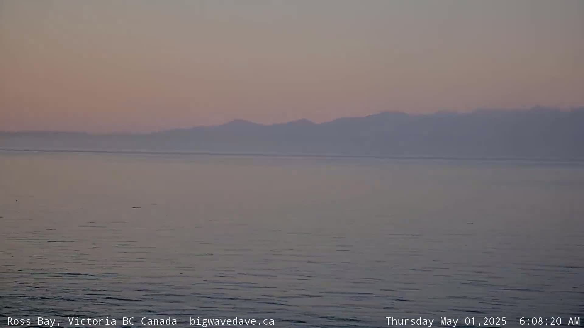 Calm water stretches to a hazy, pale-pink sky and distant mountains under a soft, dawn light.