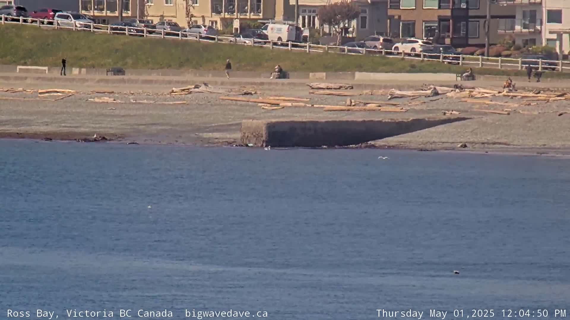 A mostly sunny day shows a beach with driftwood, a few people, and a concrete structure at the water's edge, which is relatively calm.