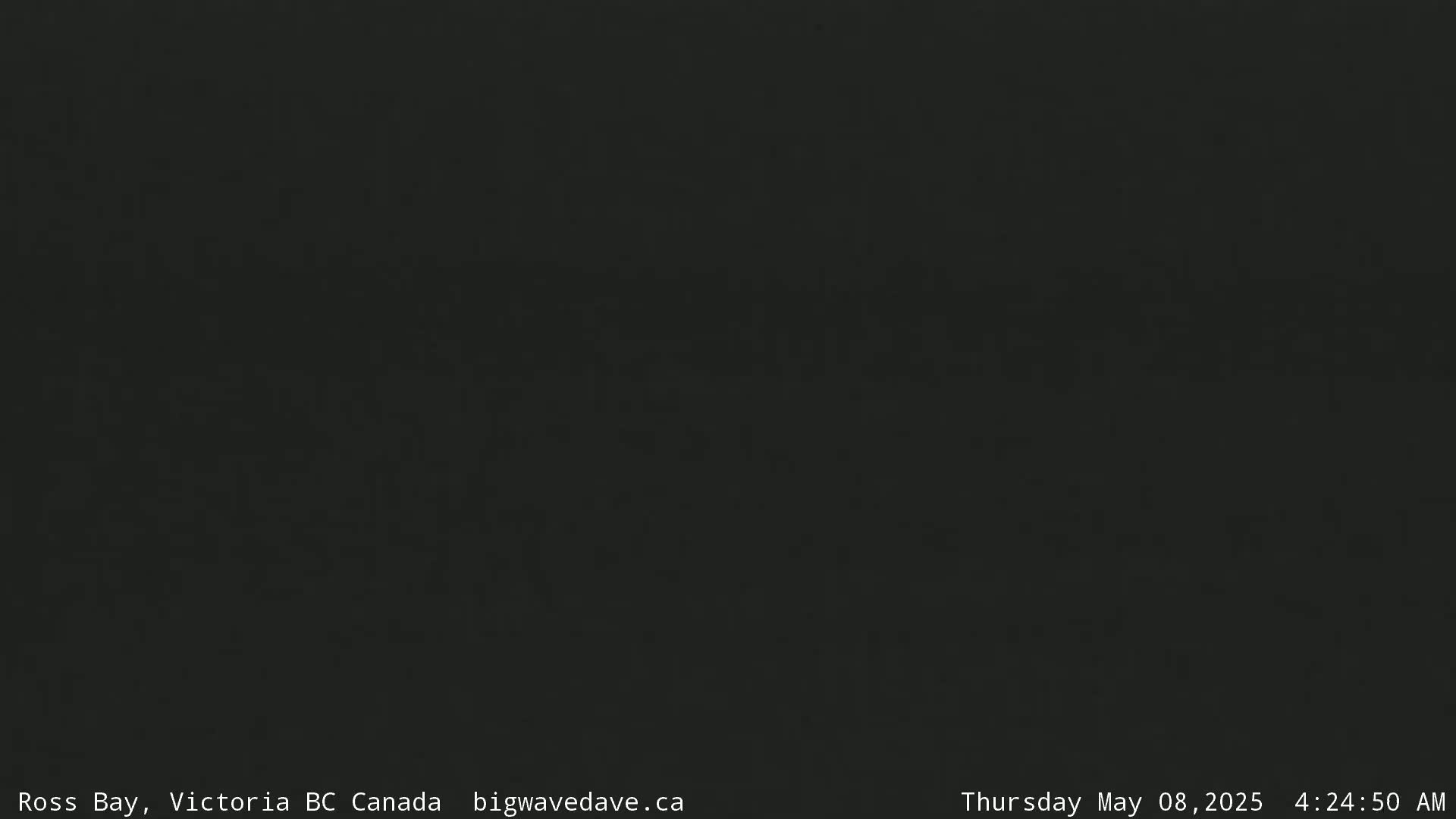 A dark, blurry image shows an indistinguishable scene under dark nighttime conditions.