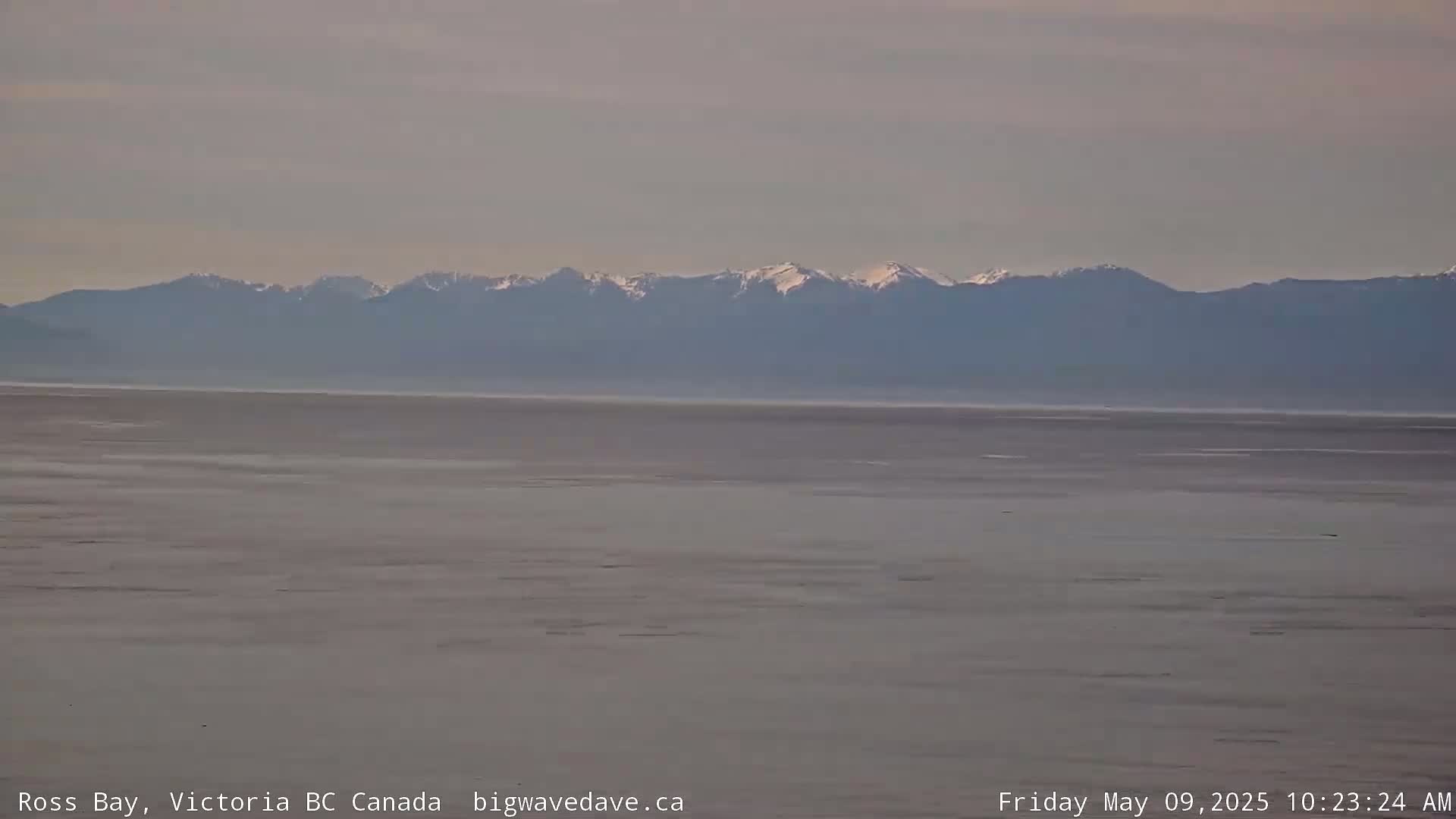 A calm, gray body of water stretches to a distant mountain range with snow-capped peaks under a muted sky.